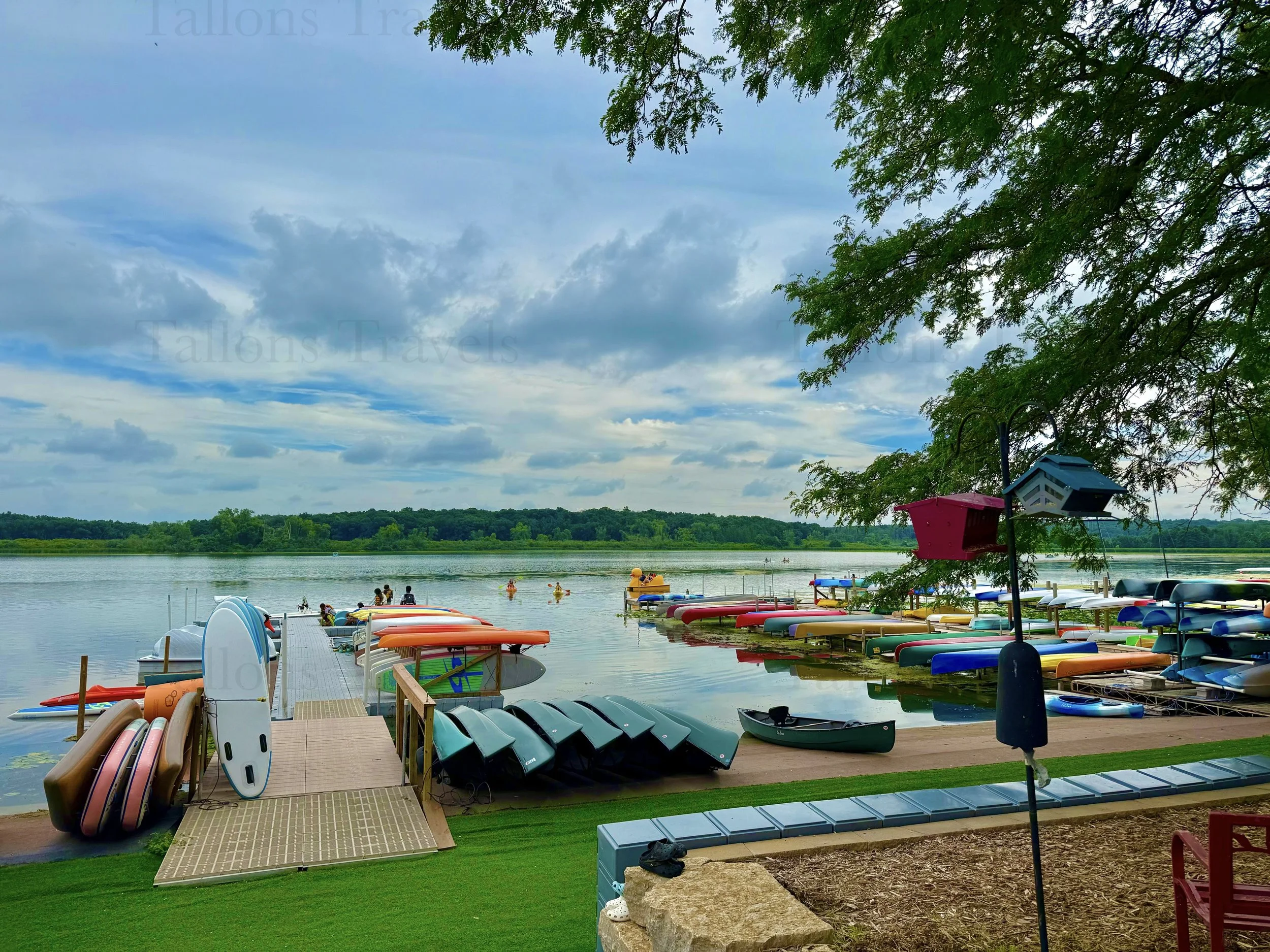 eZy Watermark_23-01-2026_10-38-25-4600PM.jpg