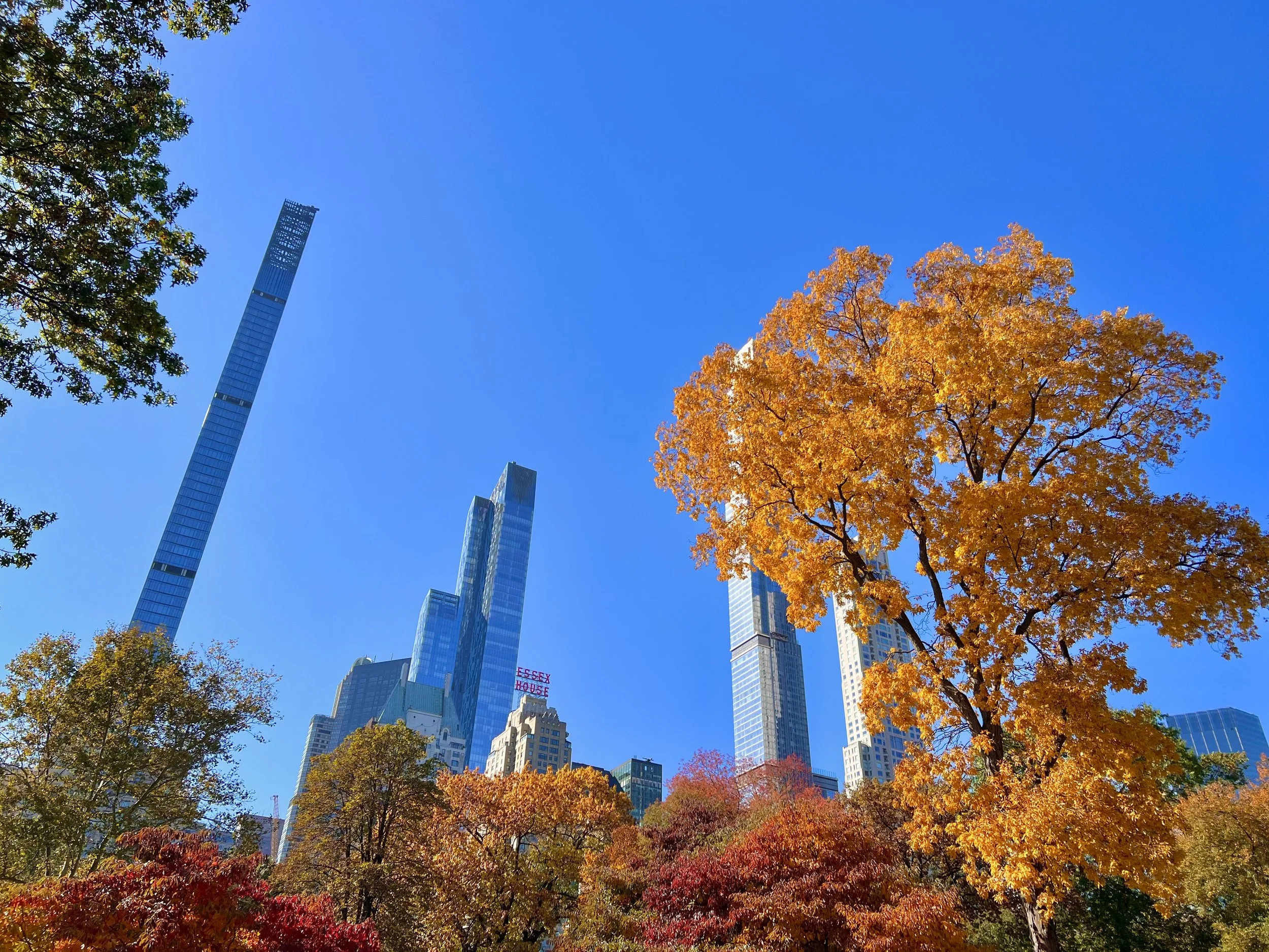 NYC skyscrapers peeking through autumn foliage in Central Park.