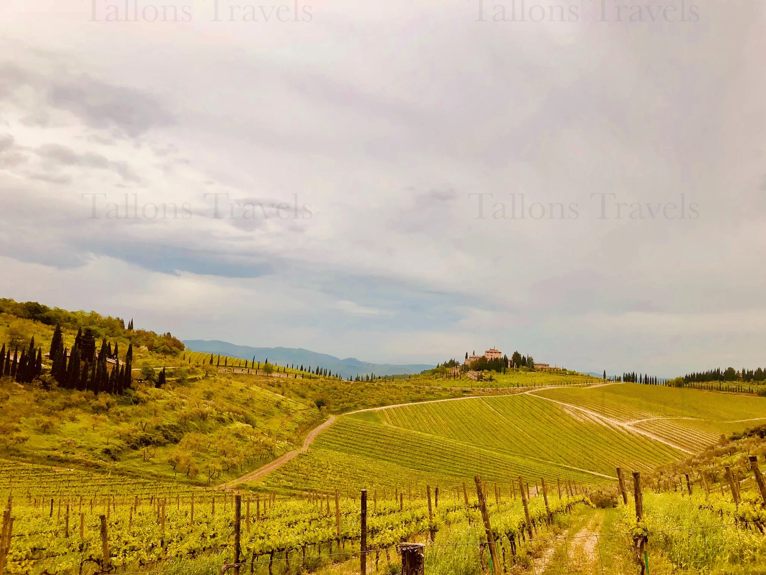 eZy Watermark_24-01-2026_08-10-09-9520PM.jpg