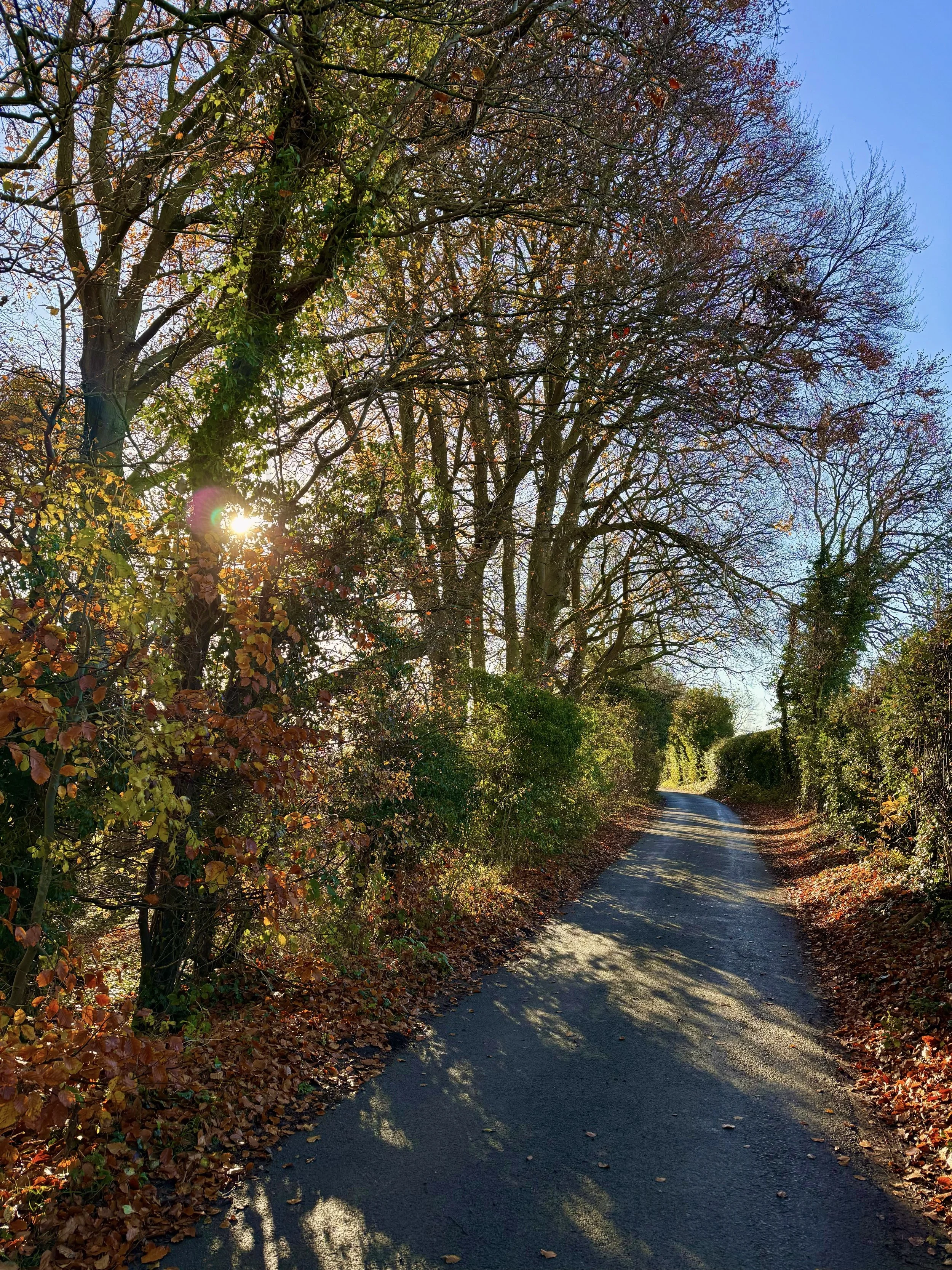 eZy Watermark_23-01-2026_11-26-43-3100AM.jpeg