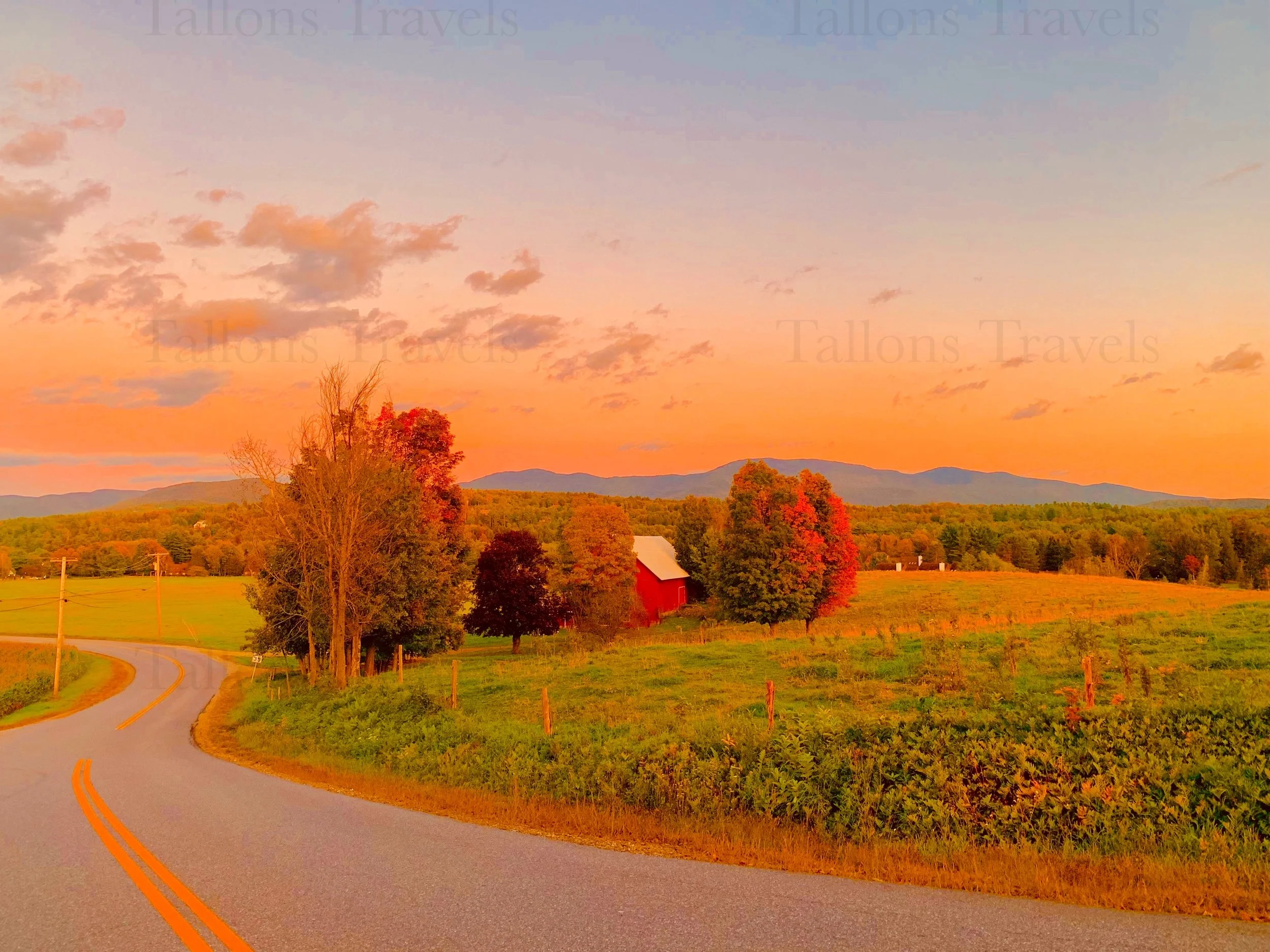 eZy Watermark_27-01-2026_09-59-51-3210PM.jpg