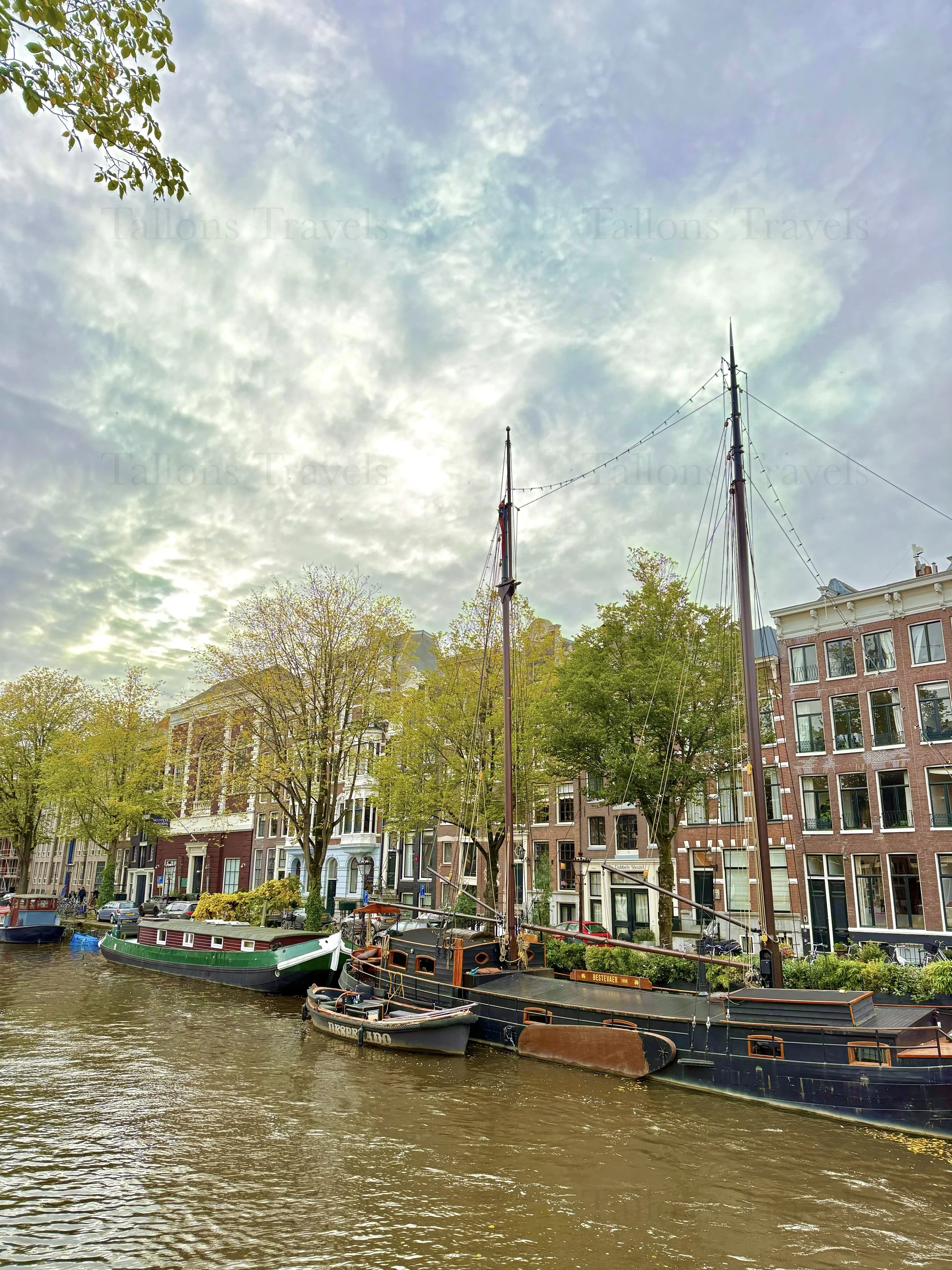 eZy Watermark_23-01-2026_11-38-46-9850AM.jpg