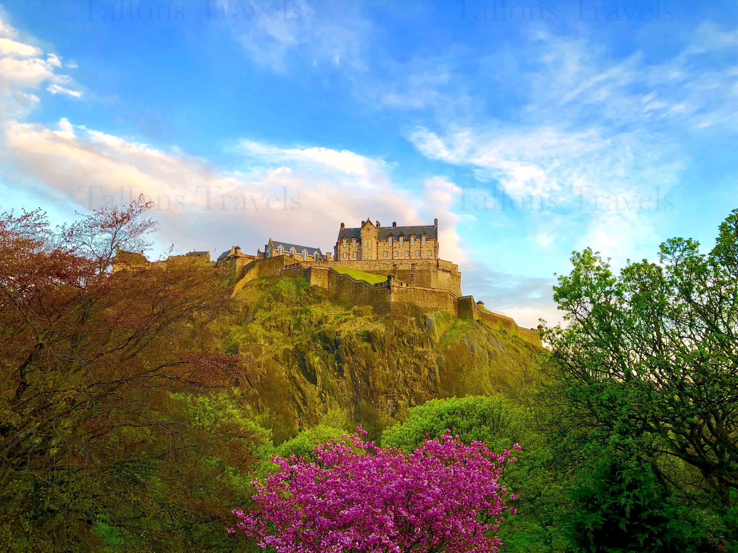 eZy Watermark_27-01-2026_09-47-03-7020PM.jpg