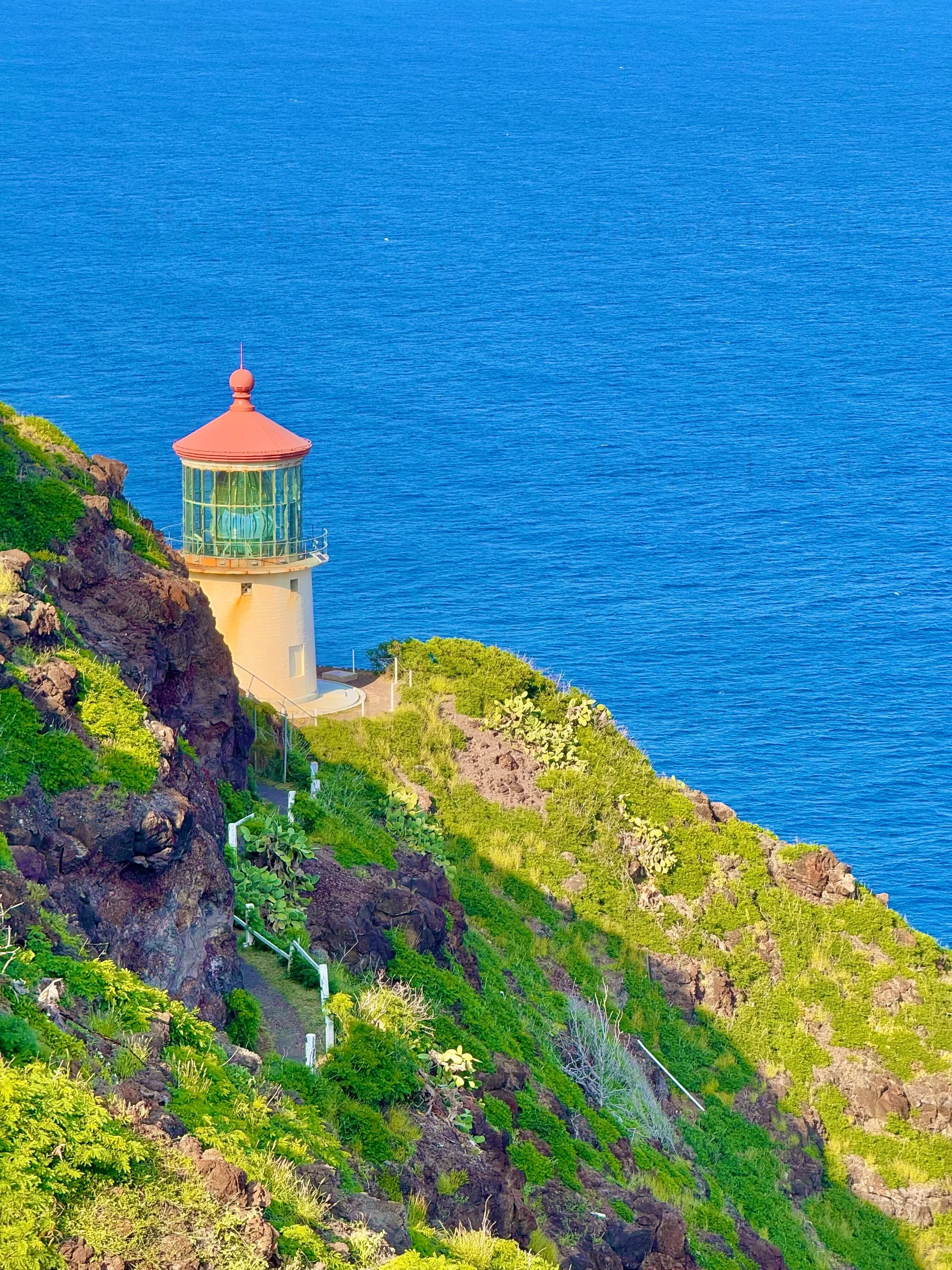 eZy Watermark_23-01-2026_10-19-55-8460PM.jpg