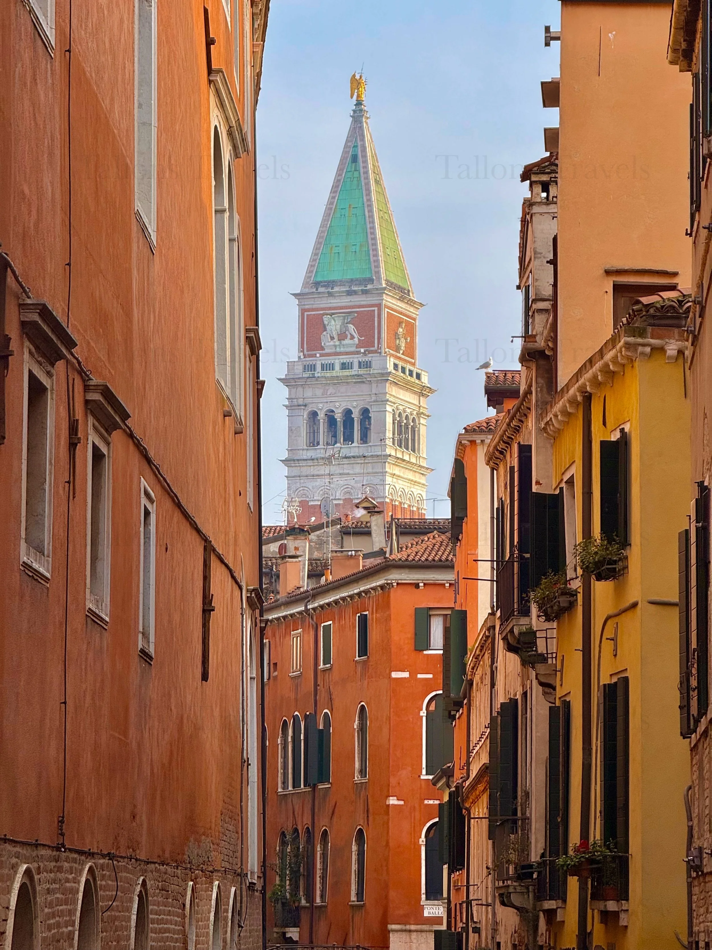 eZy Watermark_04-03-2026_06-25-25-2570PM.jpg