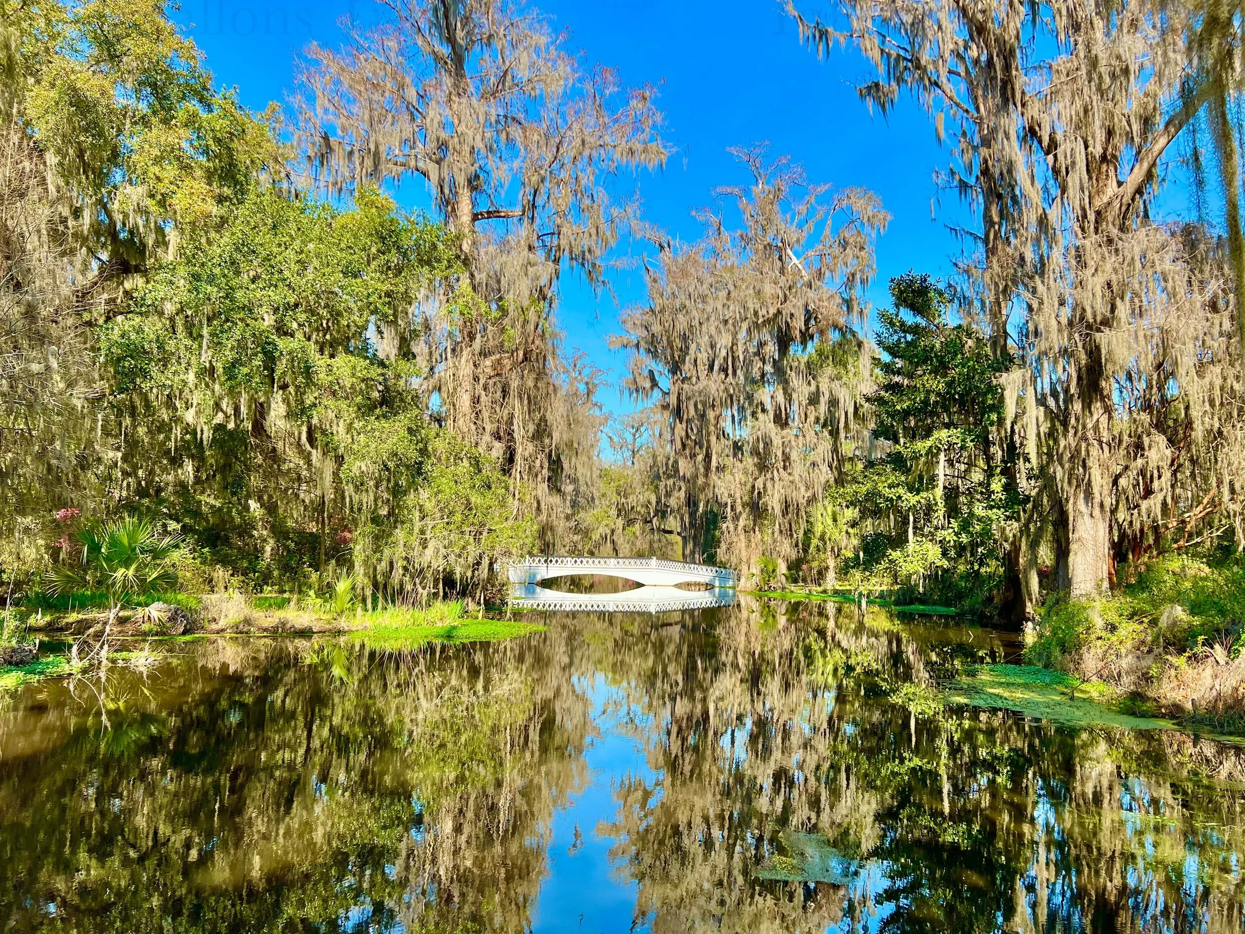 eZy Watermark_25-01-2026_08-24-20-2470PM.jpg