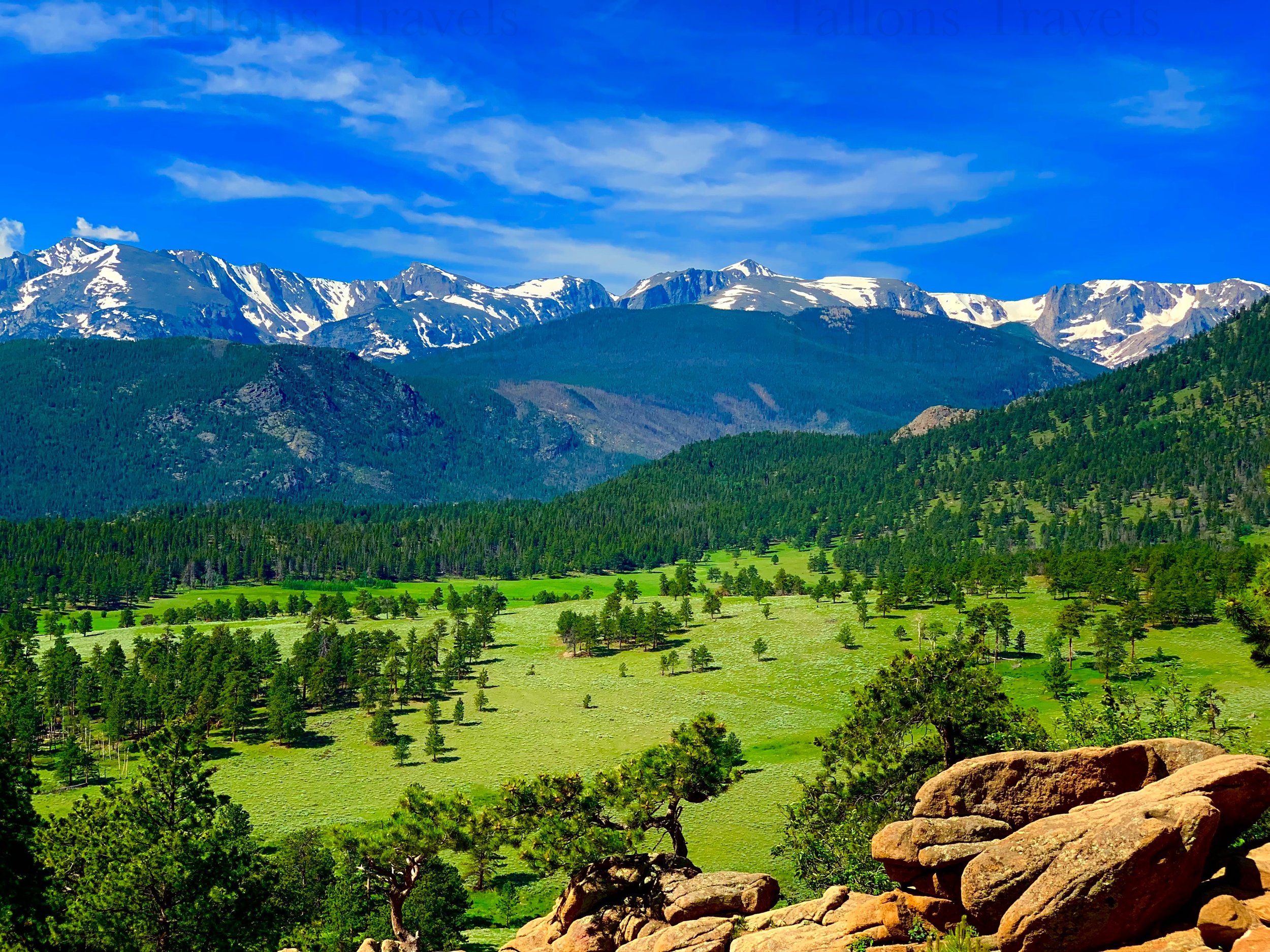 eZy Watermark_27-01-2026_09-39-25-8500PM.jpg