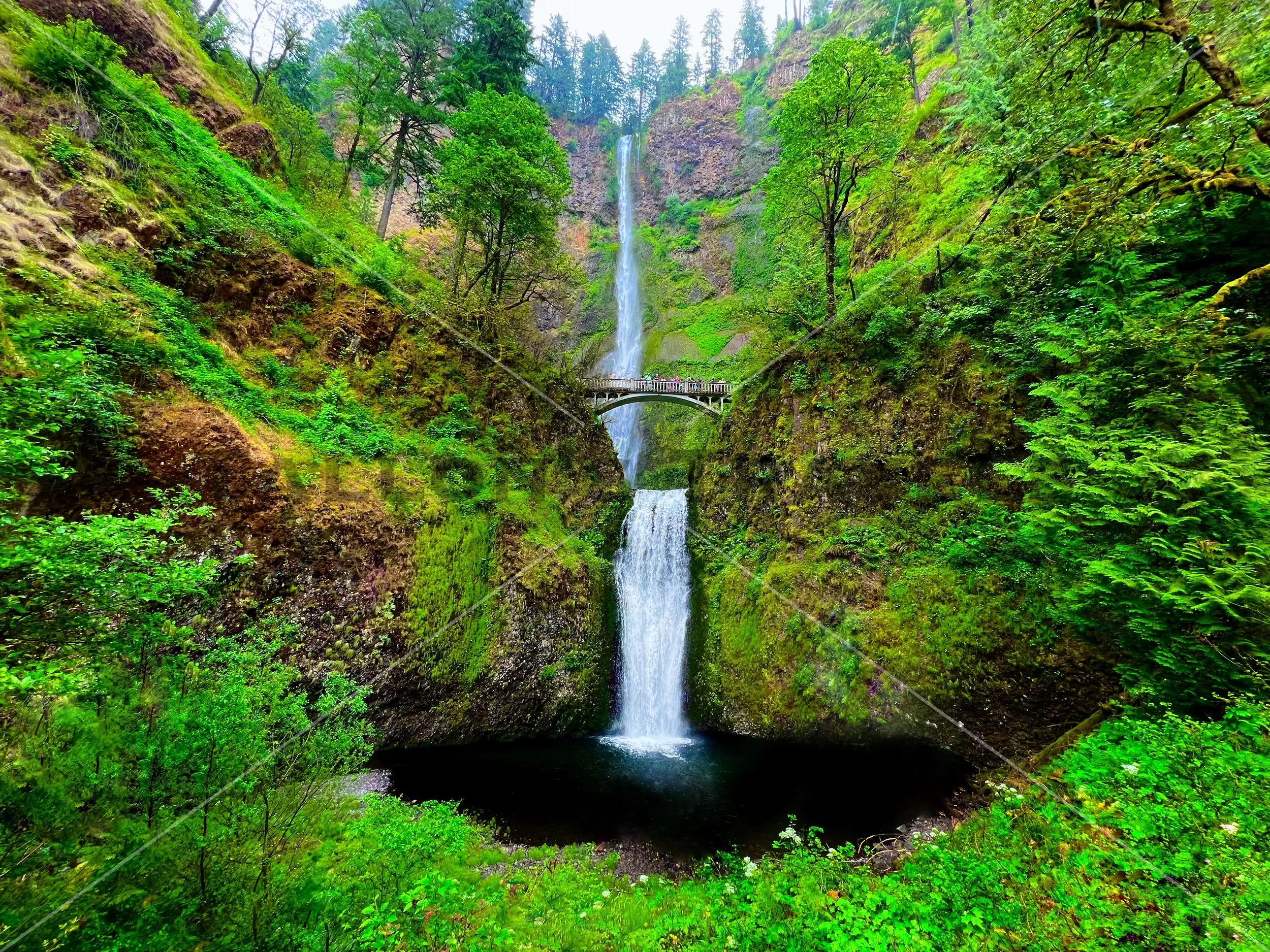 Multnomah Falls Magic