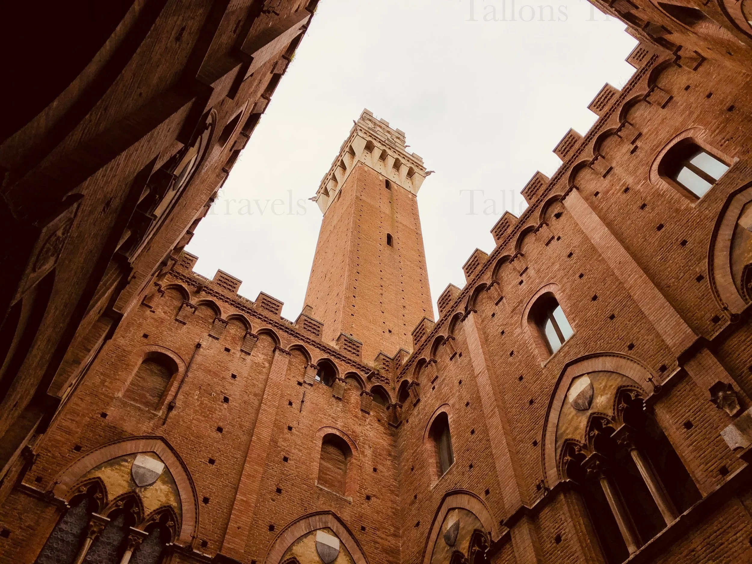 eZy Watermark_24-01-2026_08-09-46-4820PM.jpg