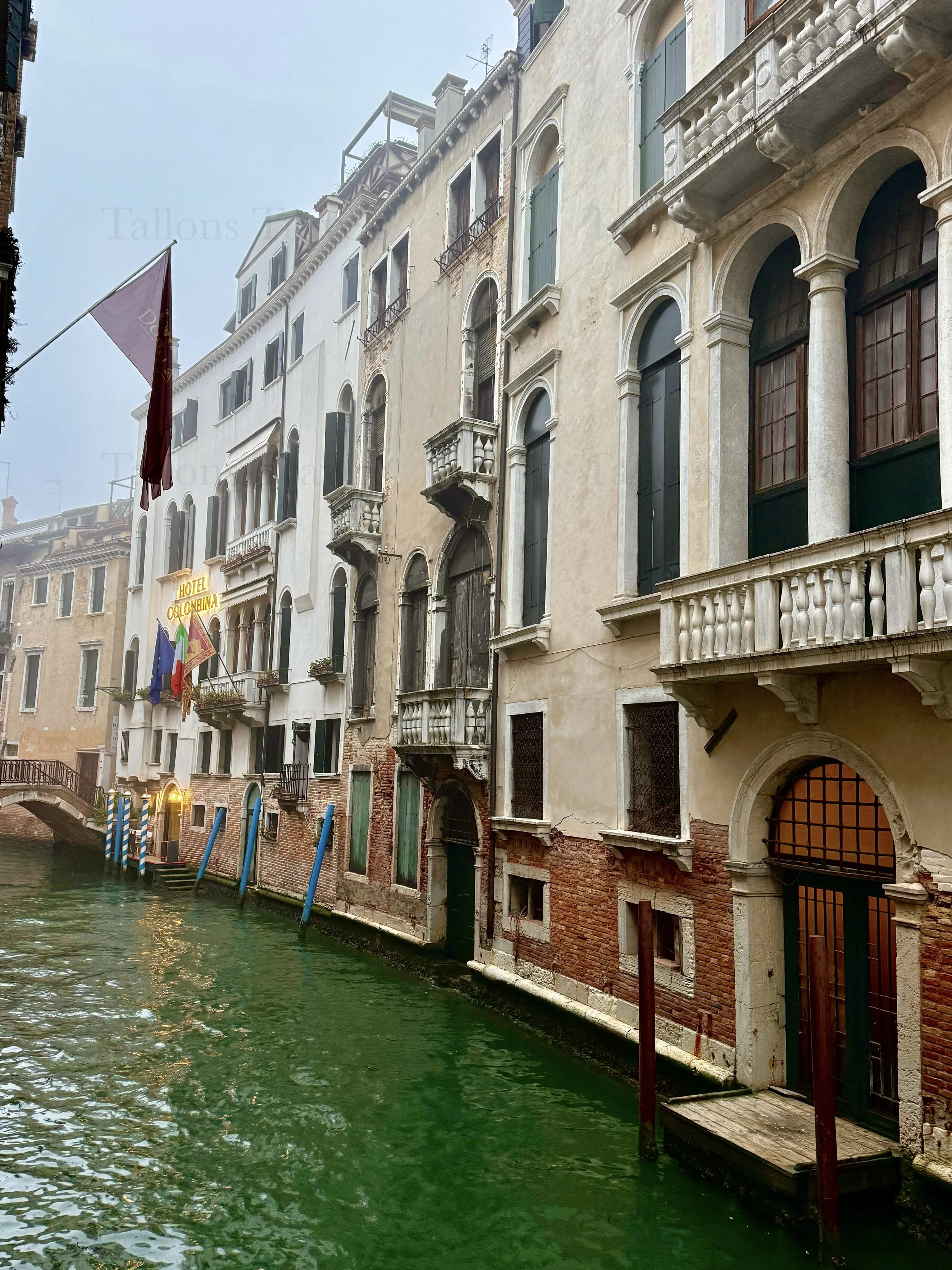 eZy Watermark_04-03-2026_06-30-03-8510PM.jpg