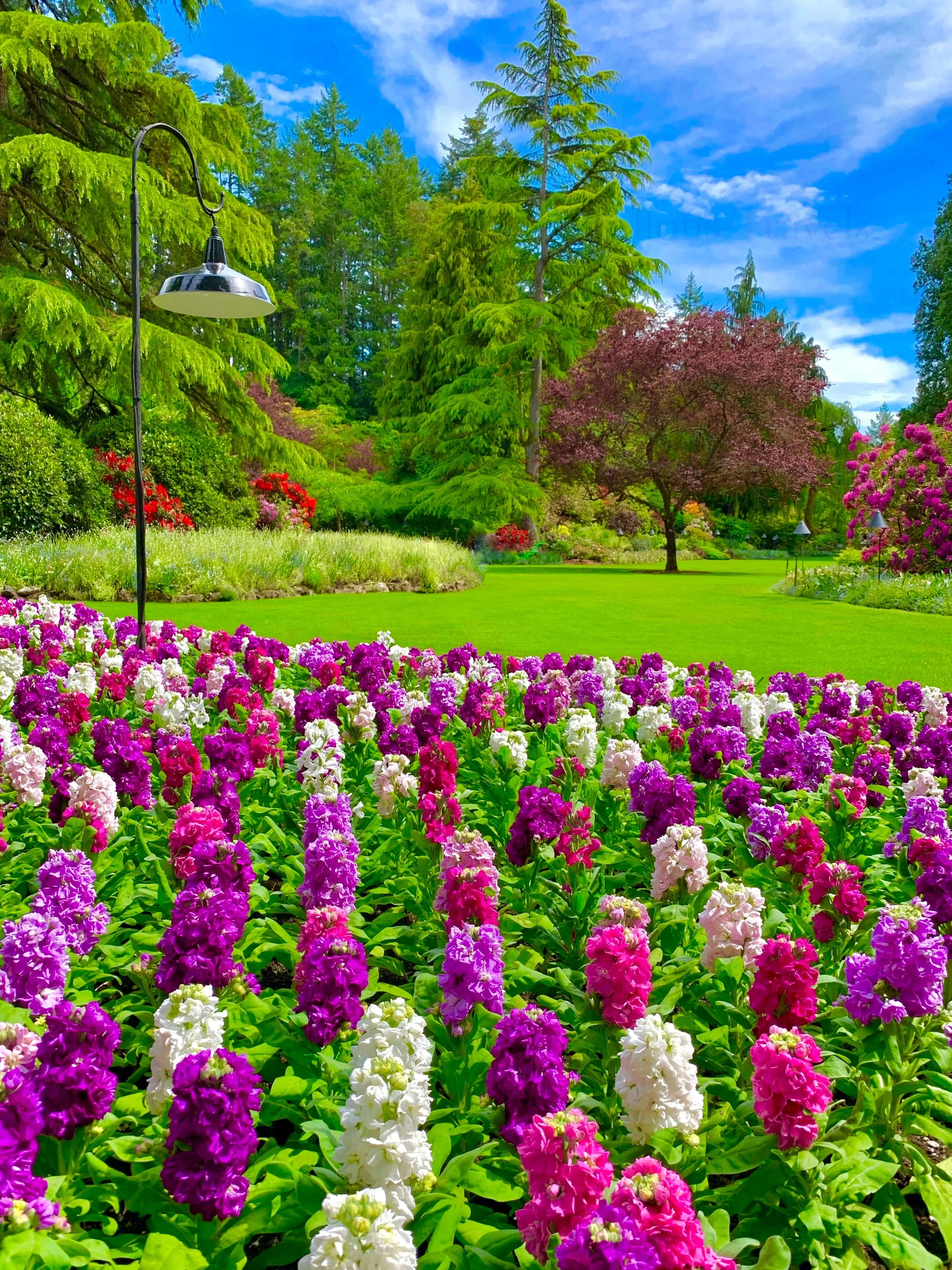 eZy Watermark_27-01-2026_09-11-06-7150PM.jpg