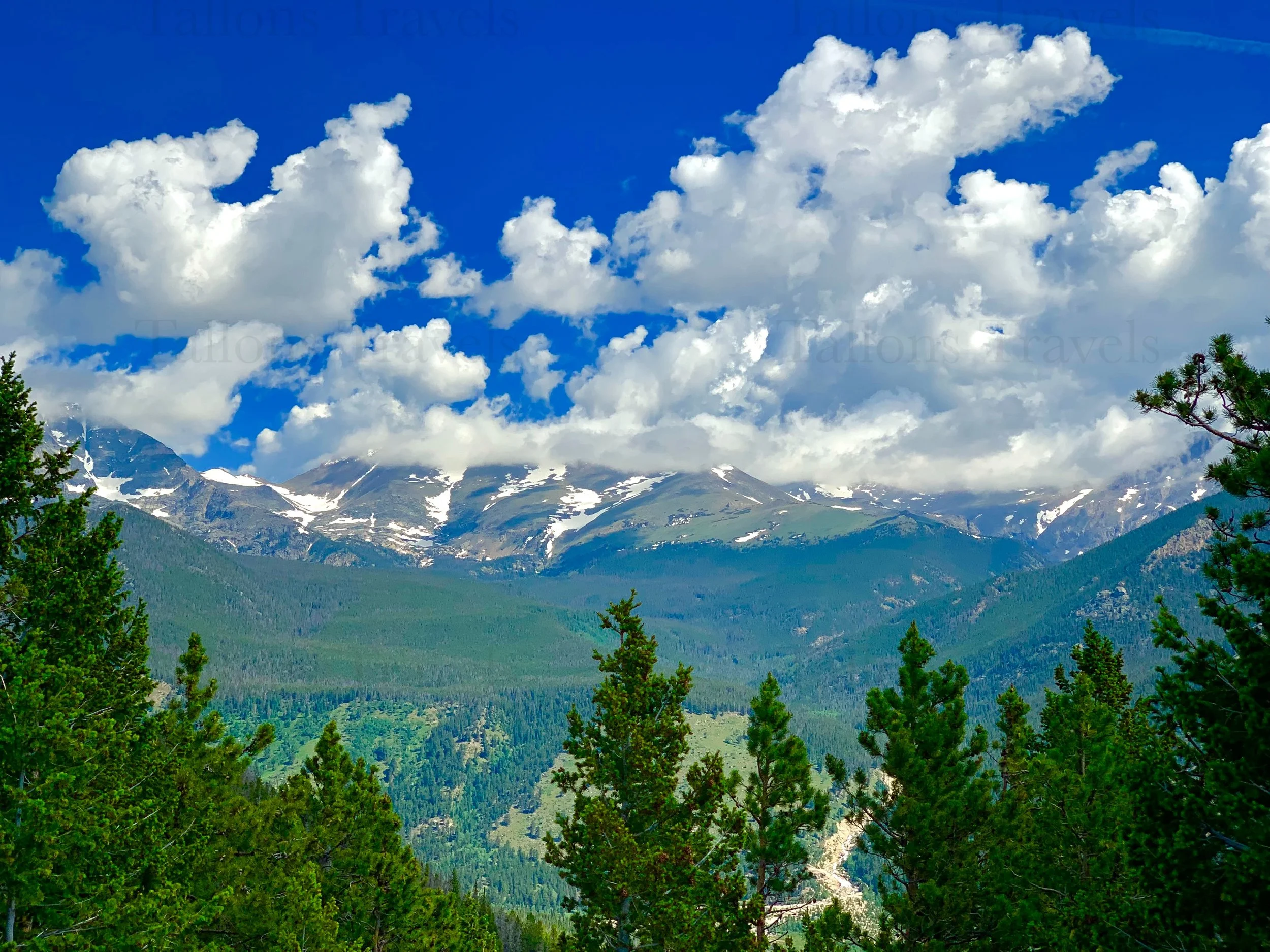 eZy Watermark_27-01-2026_09-39-27-5580PM.jpg