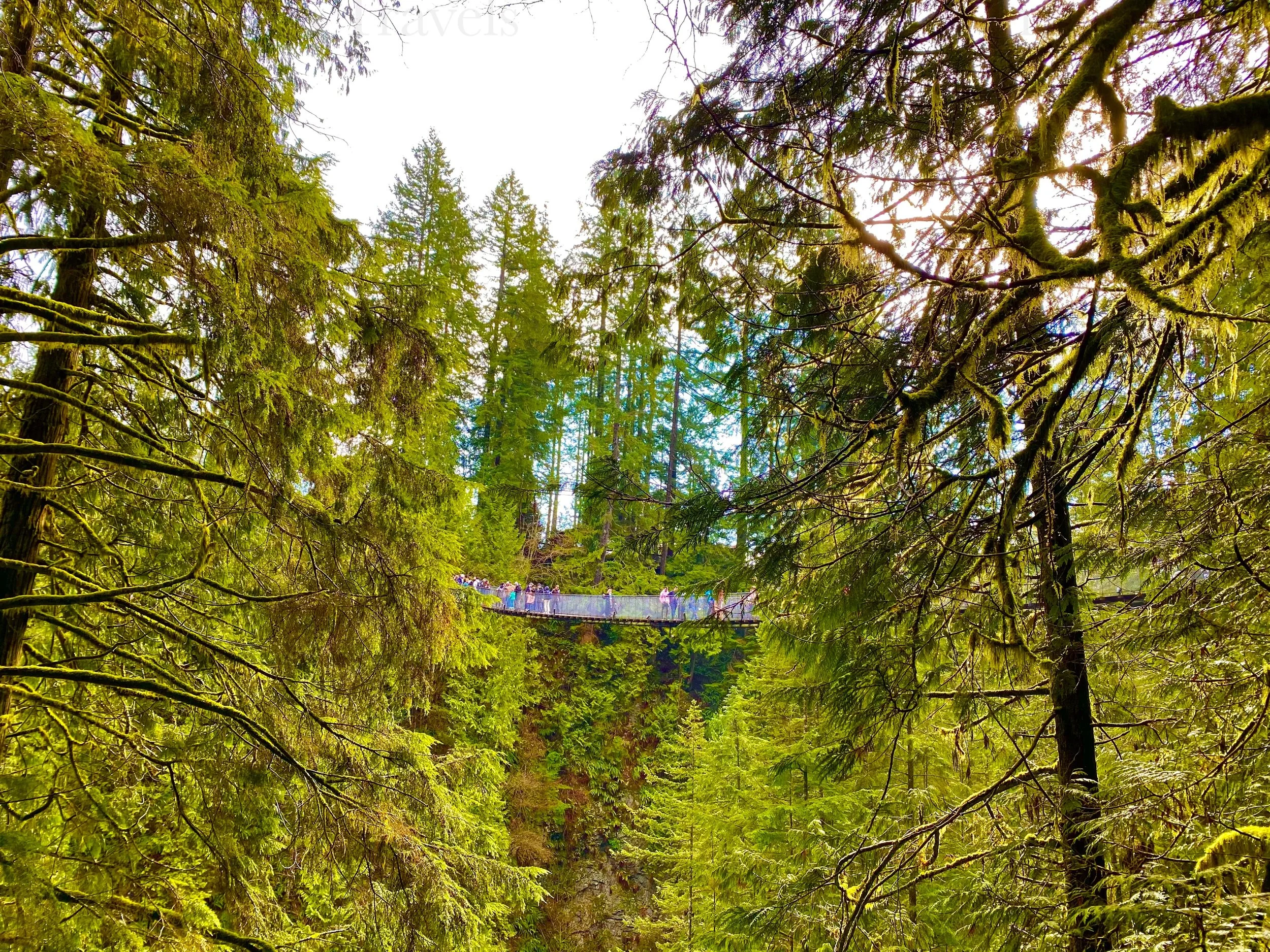 eZy Watermark_25-01-2026_03-28-39-8290PM.jpg