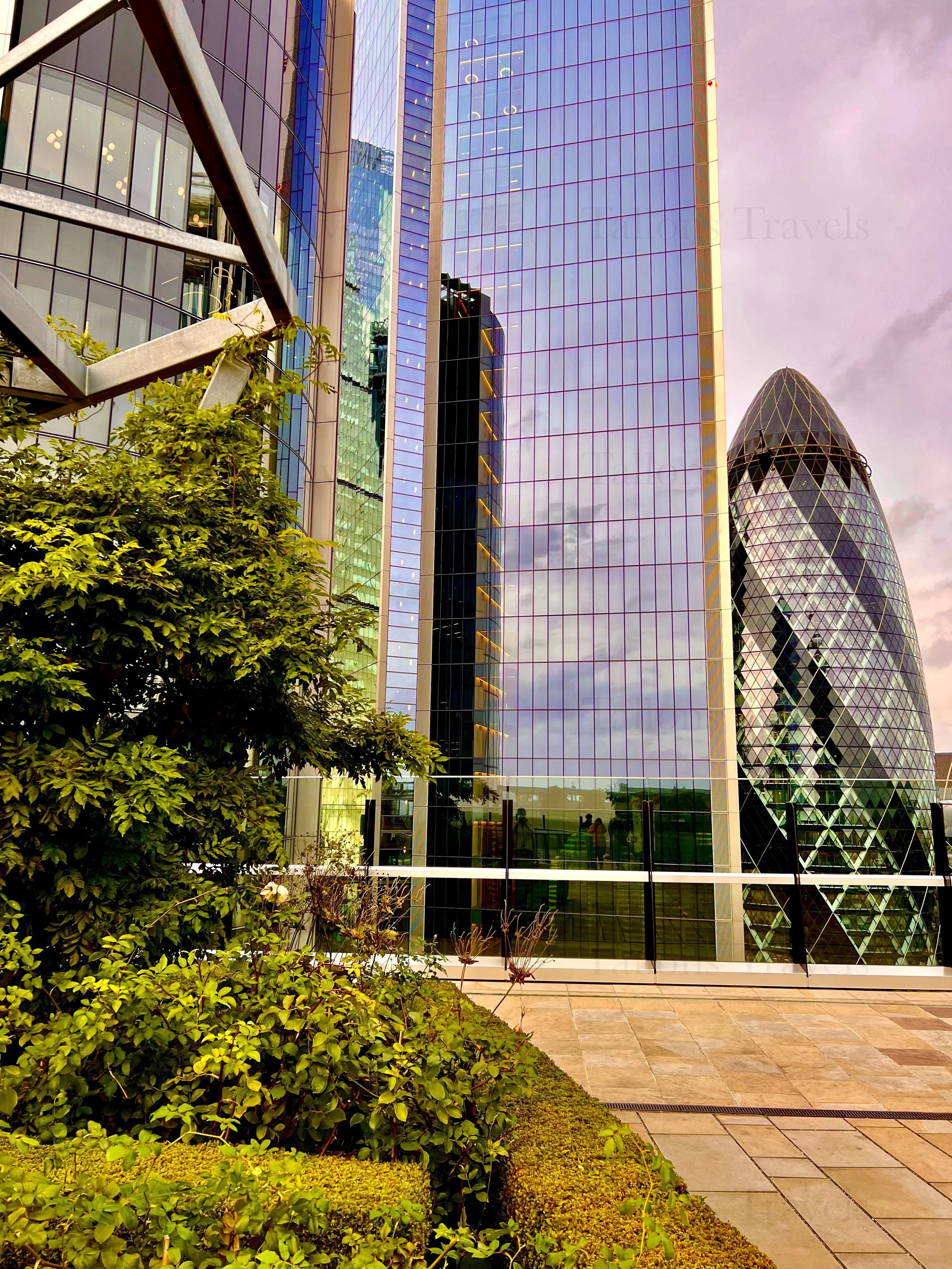 eZy Watermark_23-01-2026_01-42-55-5590PM.jpg