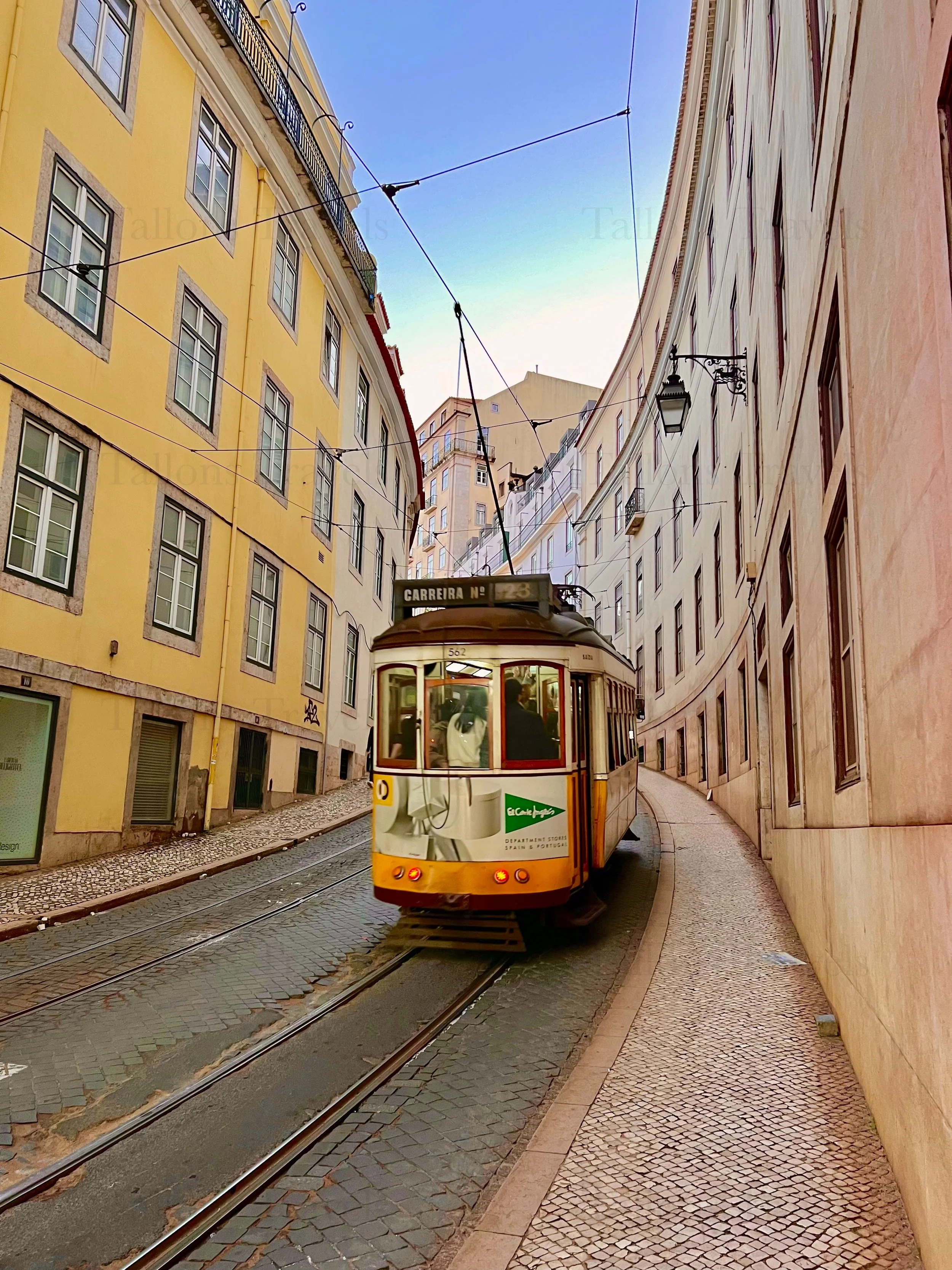 eZy Watermark_23-01-2026_10-55-59-4320PM.jpg