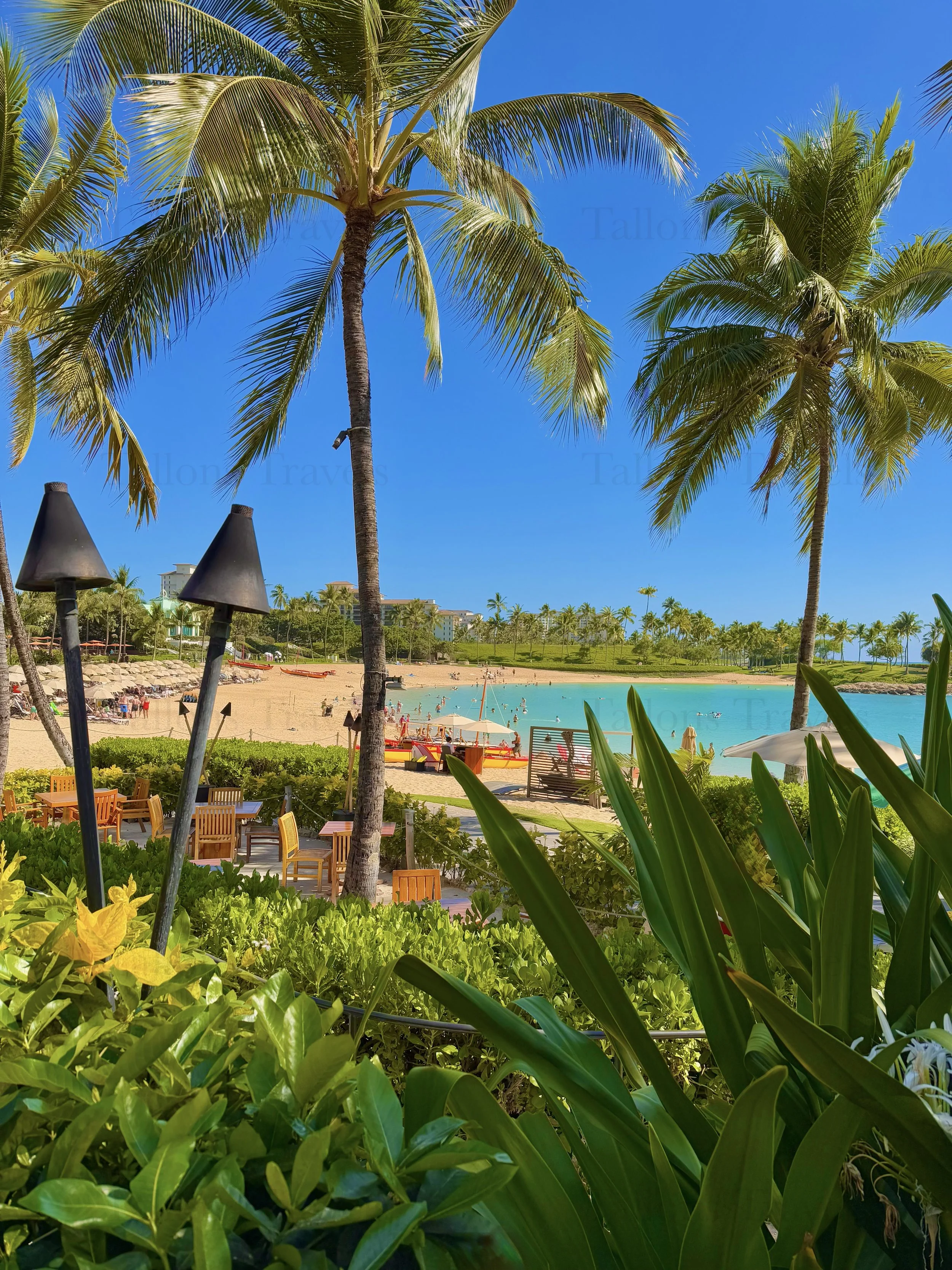 eZy Watermark_23-01-2026_10-20-57-3980PM.jpg