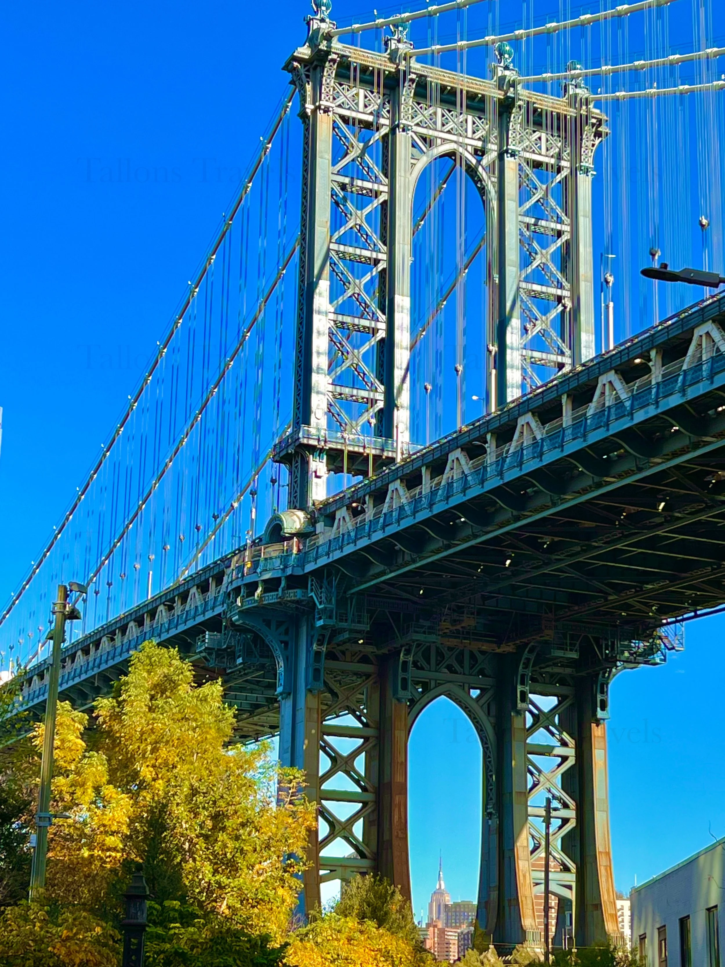 eZy Watermark_23-01-2026_11-19-12-1320PM.jpg