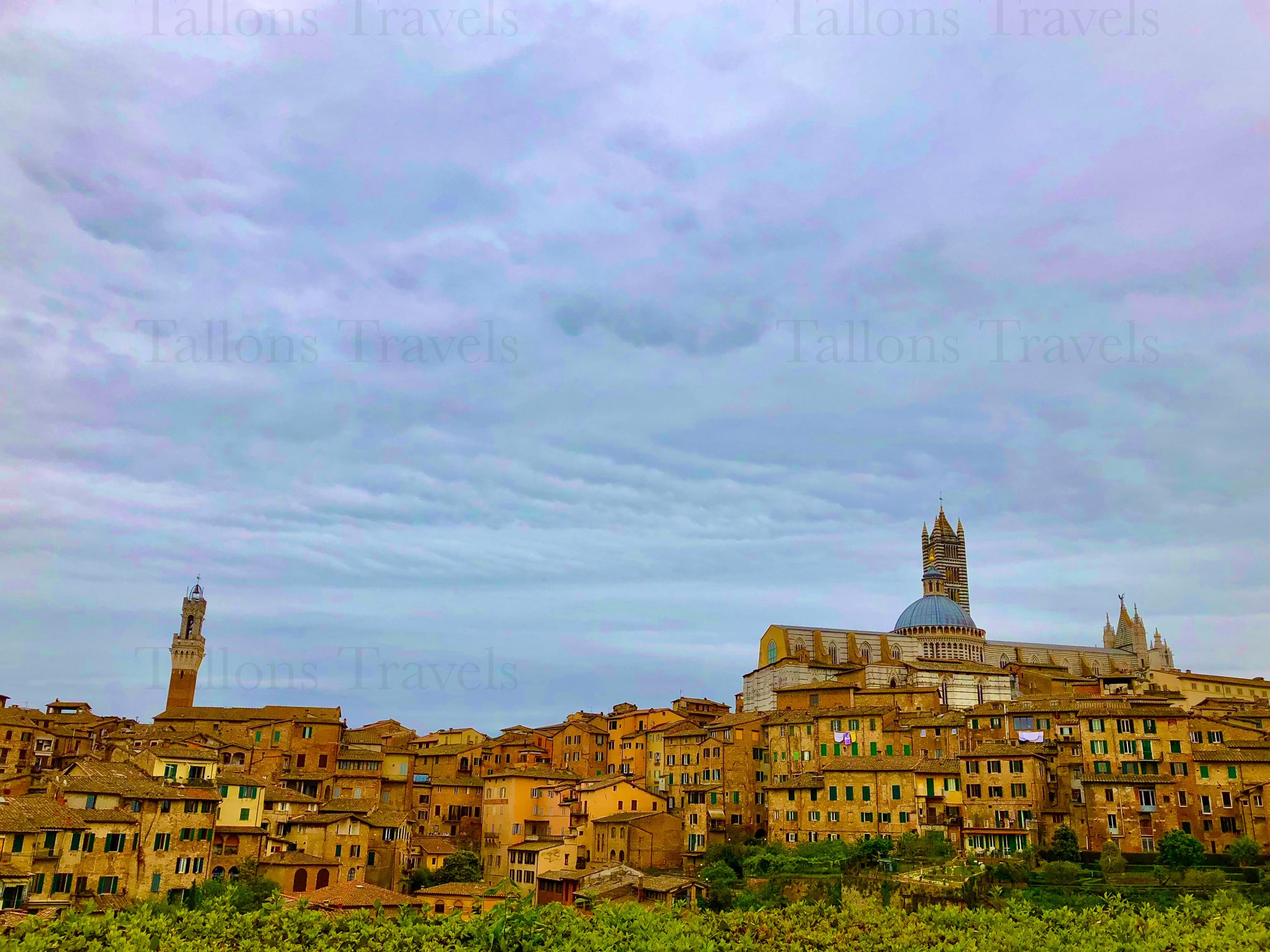 eZy Watermark_24-01-2026_08-09-45-0310PM.jpg