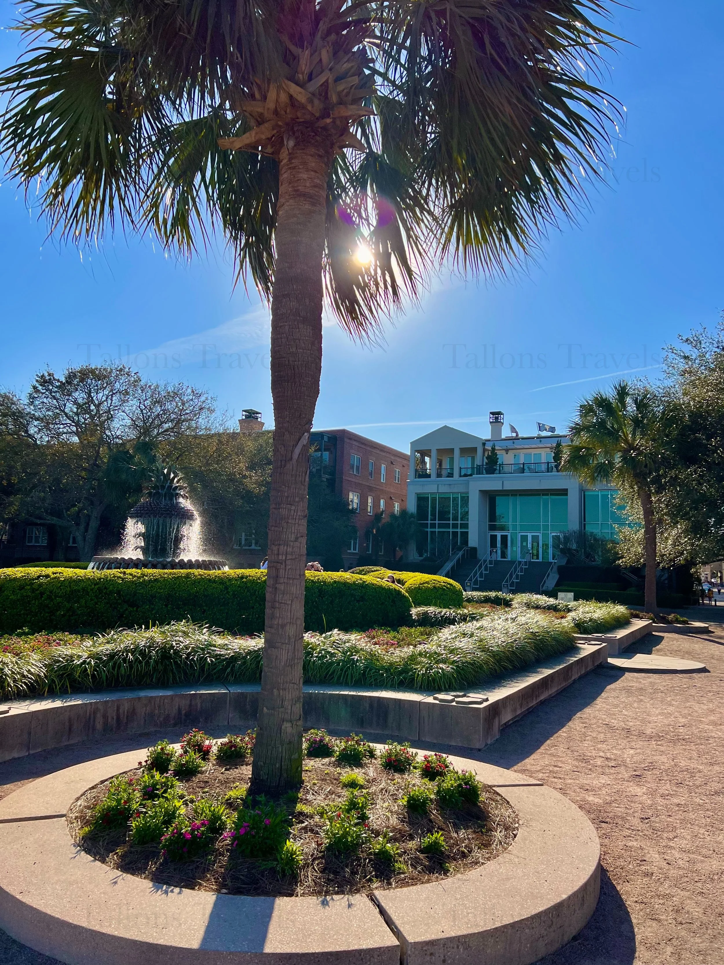 eZy Watermark_25-01-2026_08-24-33-4110PM.jpg