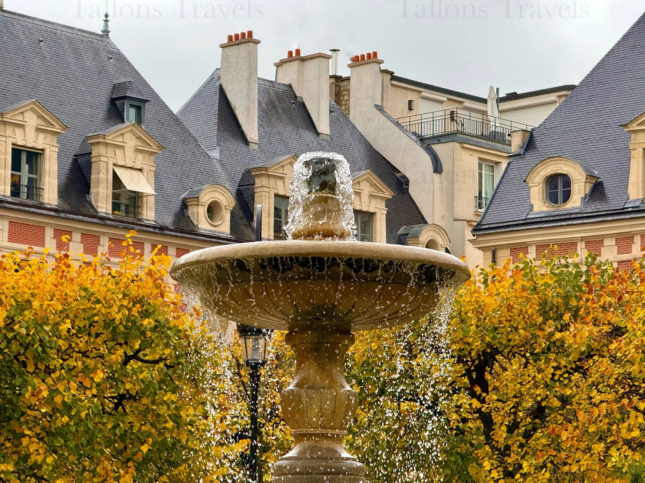 eZy Watermark_23-01-2026_09-42-21-4530PM.jpg