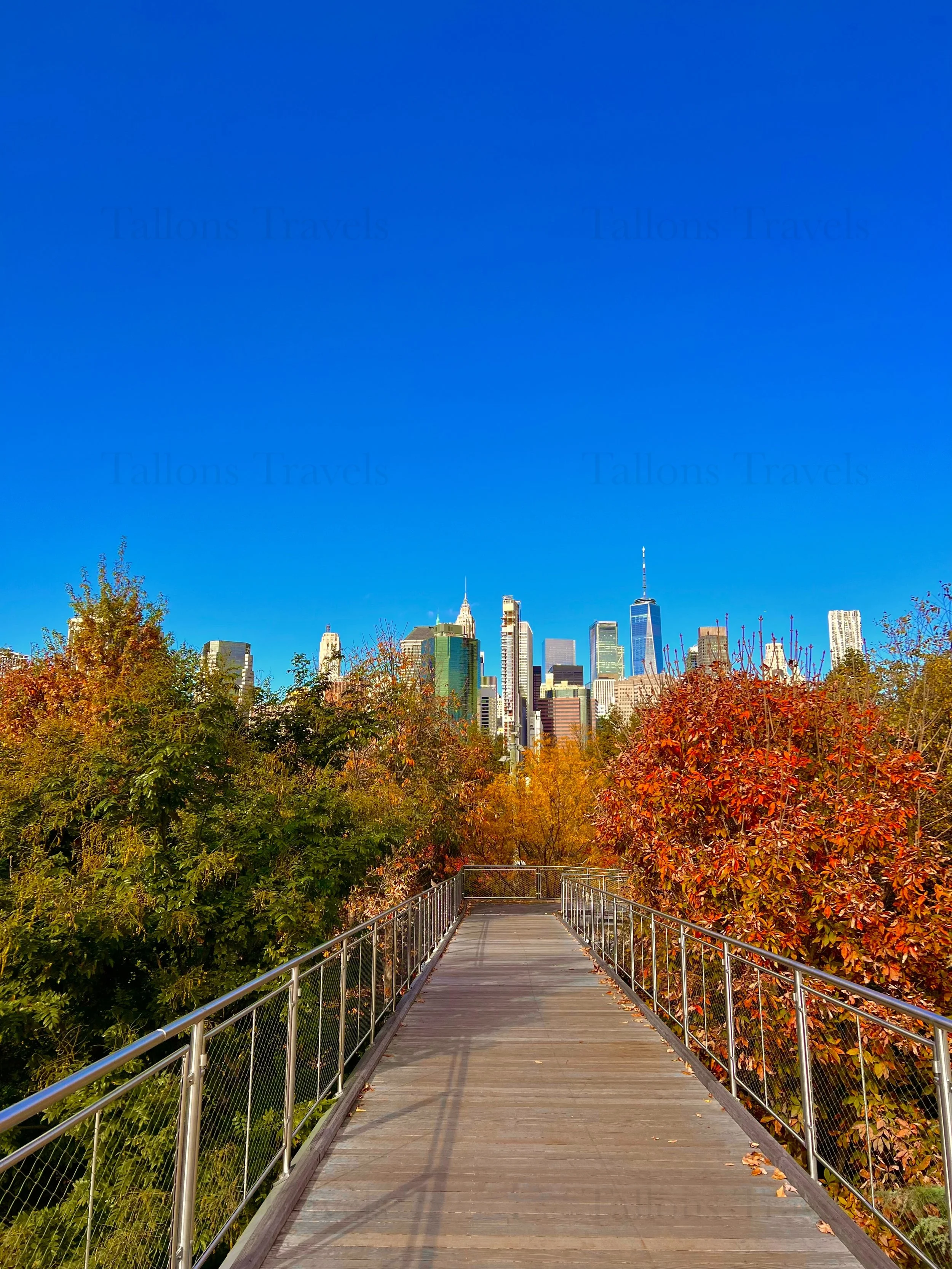 eZy Watermark_23-01-2026_11-19-04-4350PM.jpg