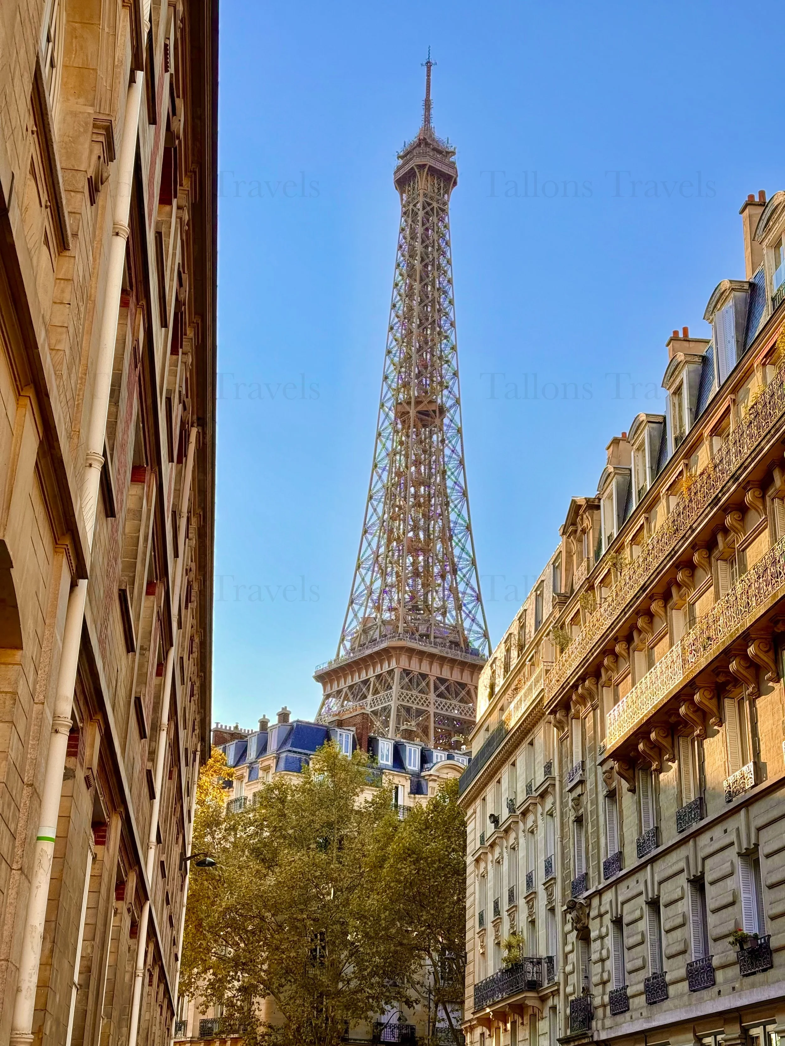 eZy Watermark_23-01-2026_09-40-43-5030PM.jpg