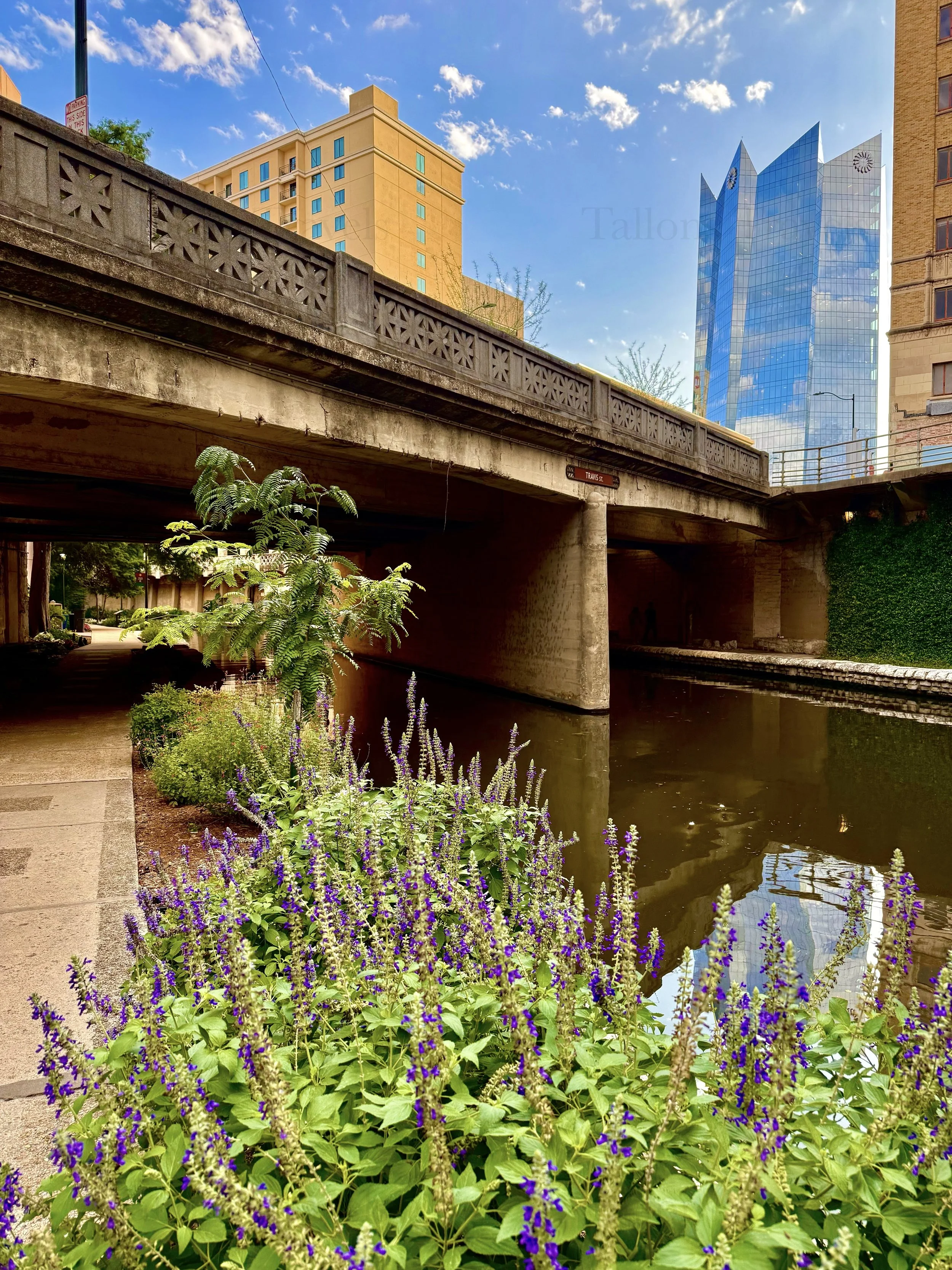 eZy Watermark_23-01-2026_10-05-13-9640PM.jpg