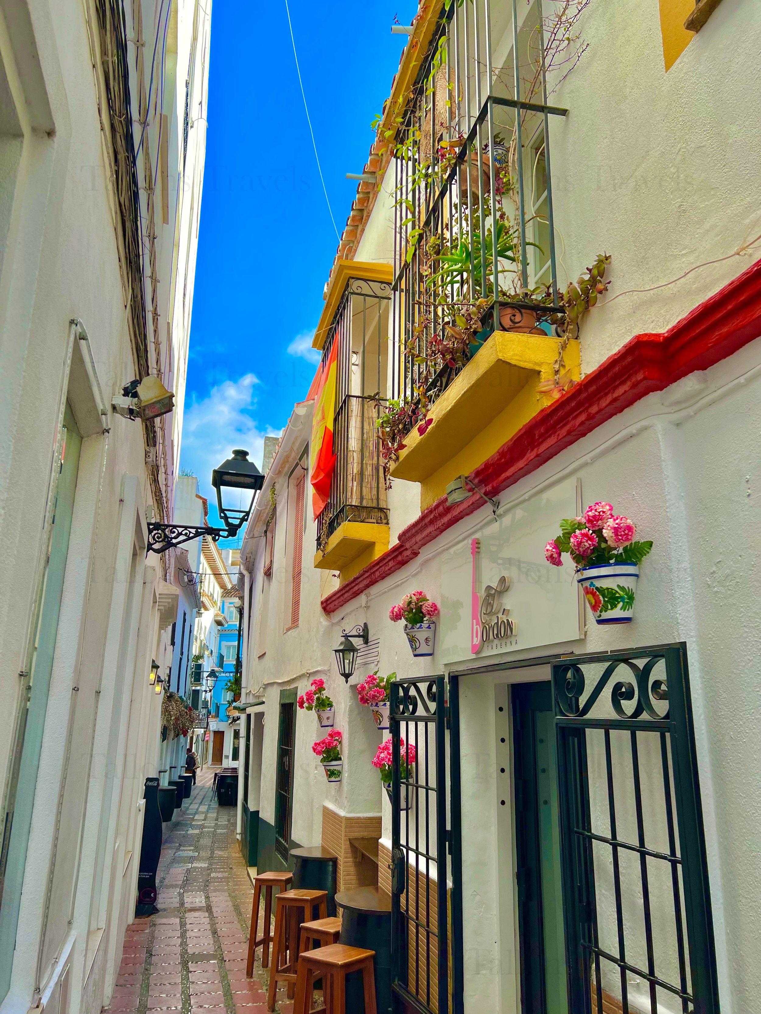 eZy Watermark_27-01-2026_09-21-08-4450PM.jpg