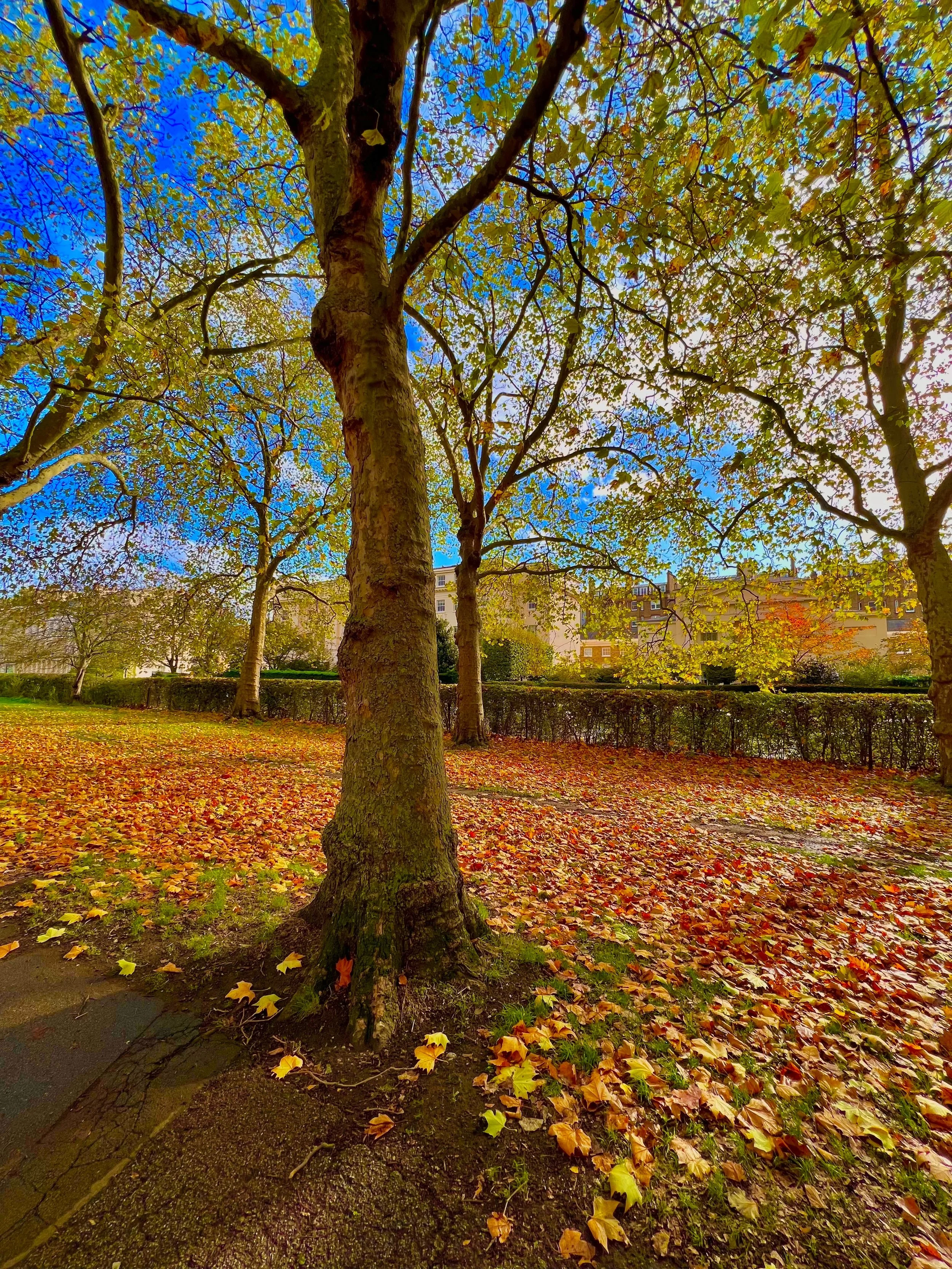 eZy Watermark_23-01-2026_01-42-44-2060PM.jpg