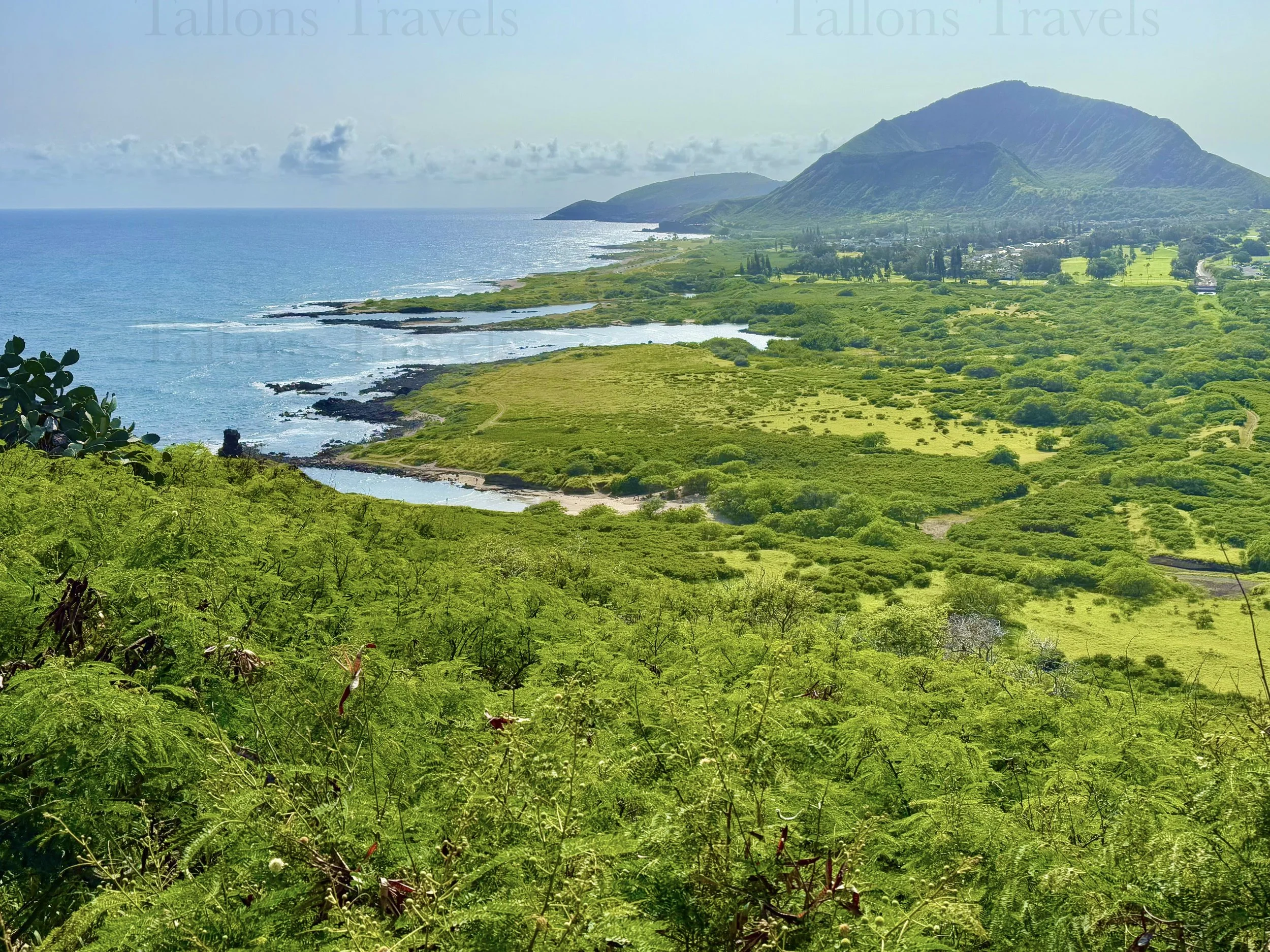 eZy Watermark_23-01-2026_10-19-53-3490PM.jpg