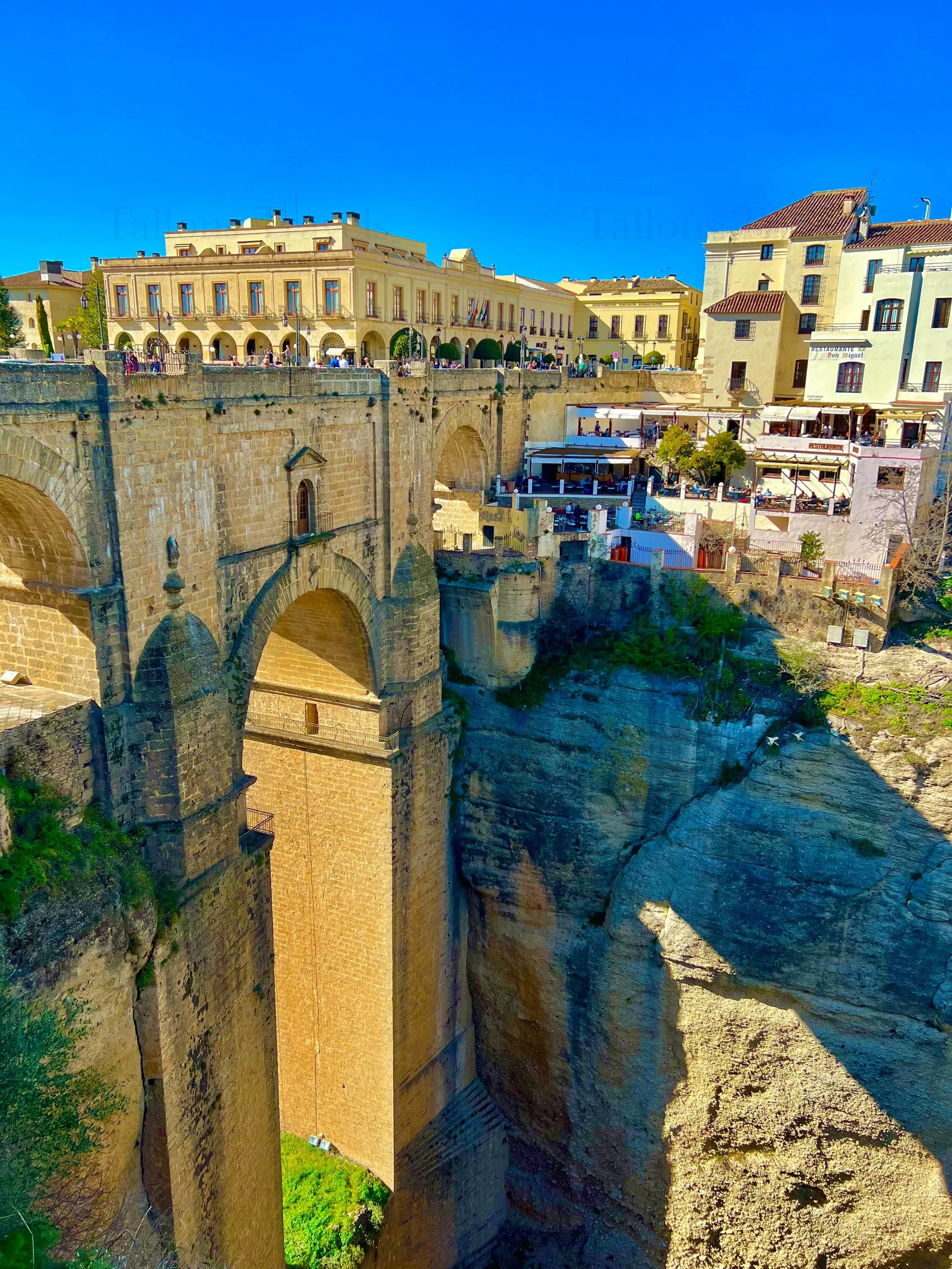 eZy Watermark_27-01-2026_09-21-17-4640PM.jpg