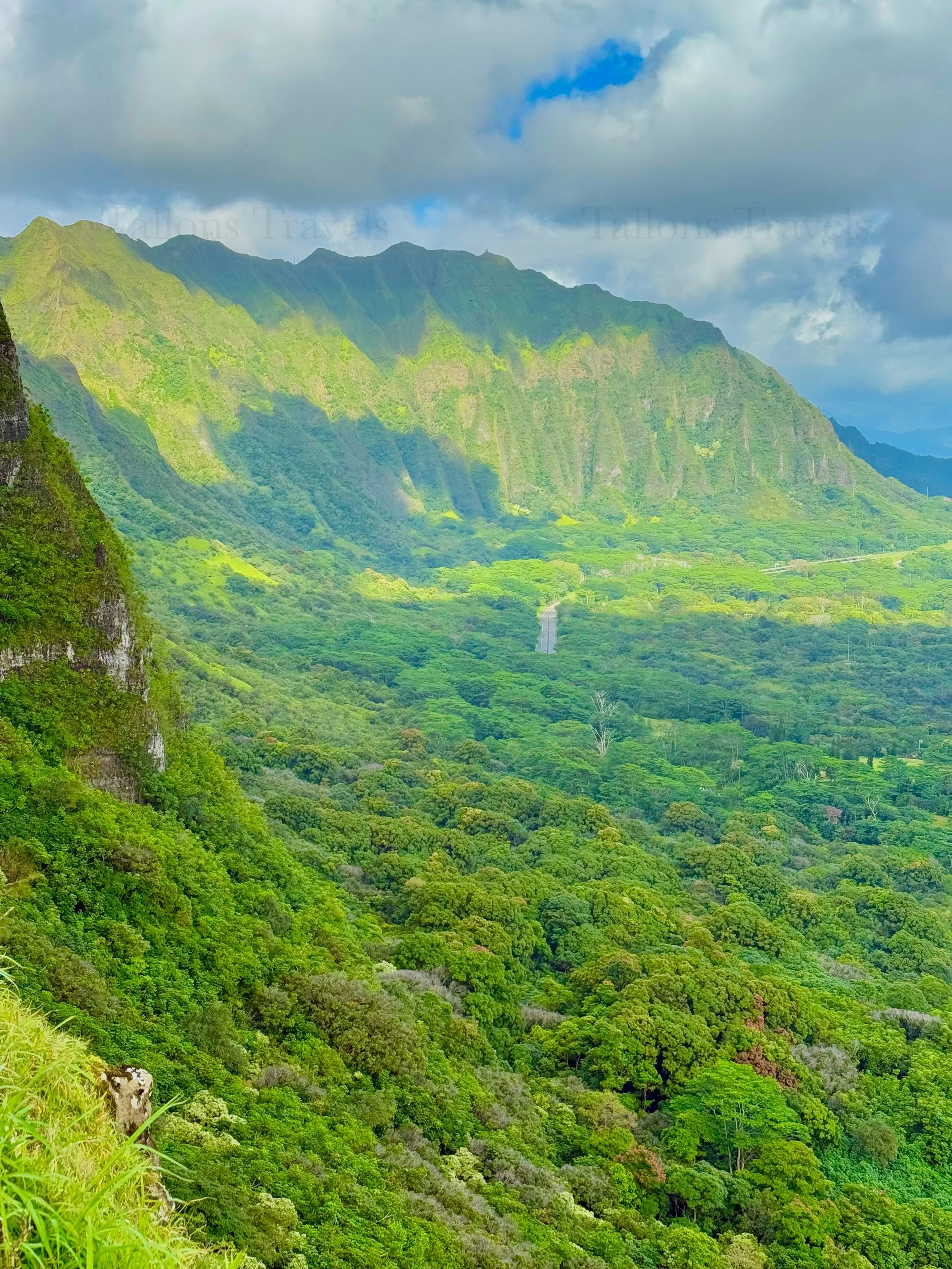 eZy Watermark_23-01-2026_10-20-51-7980PM.jpg