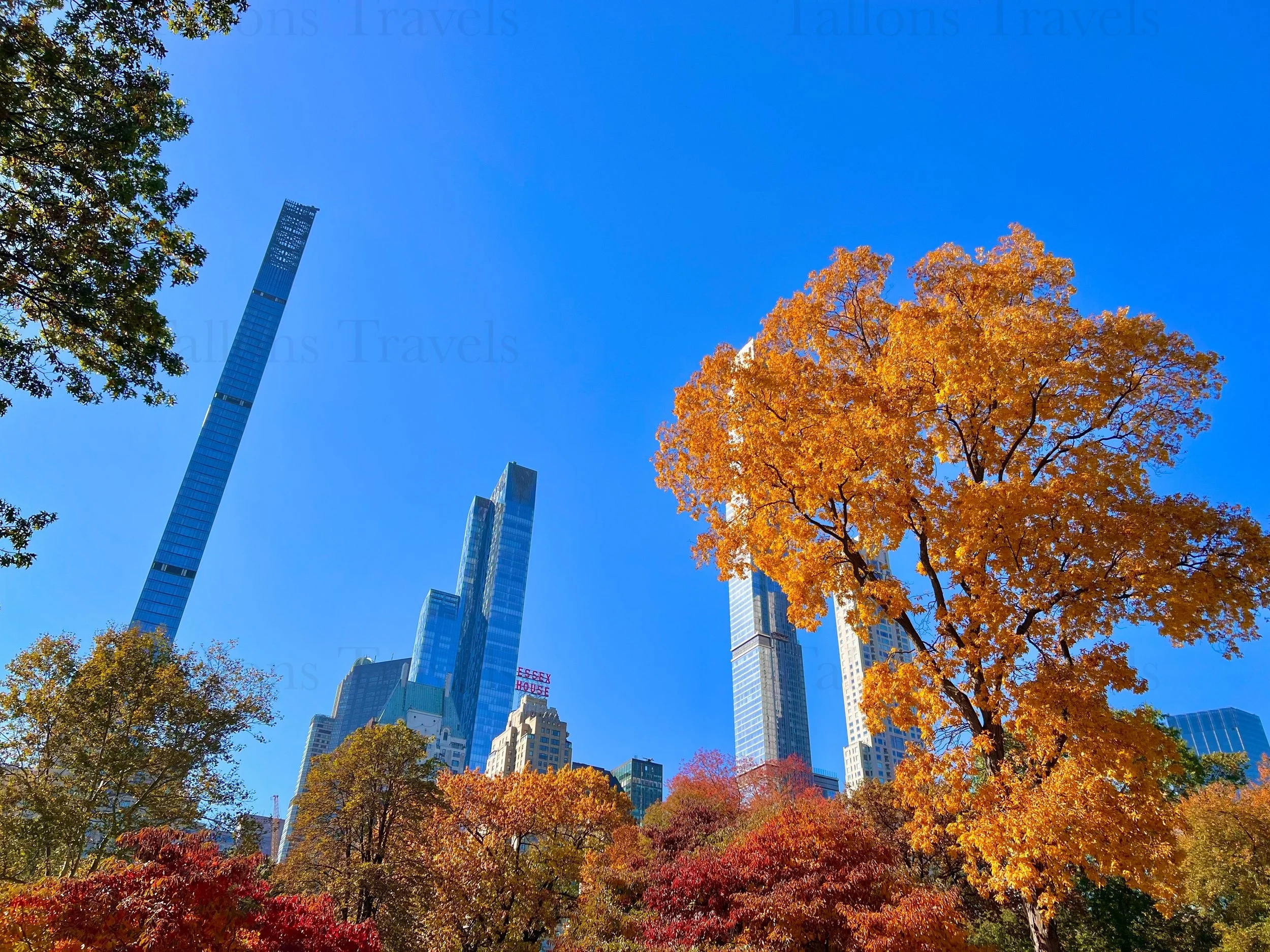 eZy Watermark_23-01-2026_11-20-16-3910PM.jpg