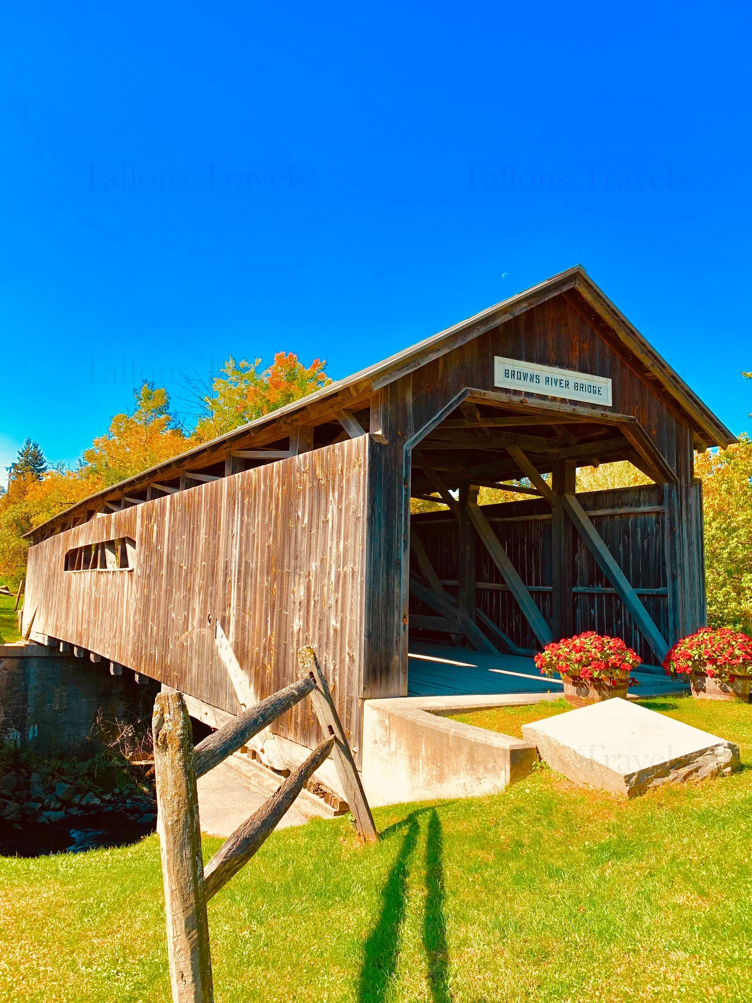 eZy Watermark_27-01-2026_10-00-07-2810PM.jpg