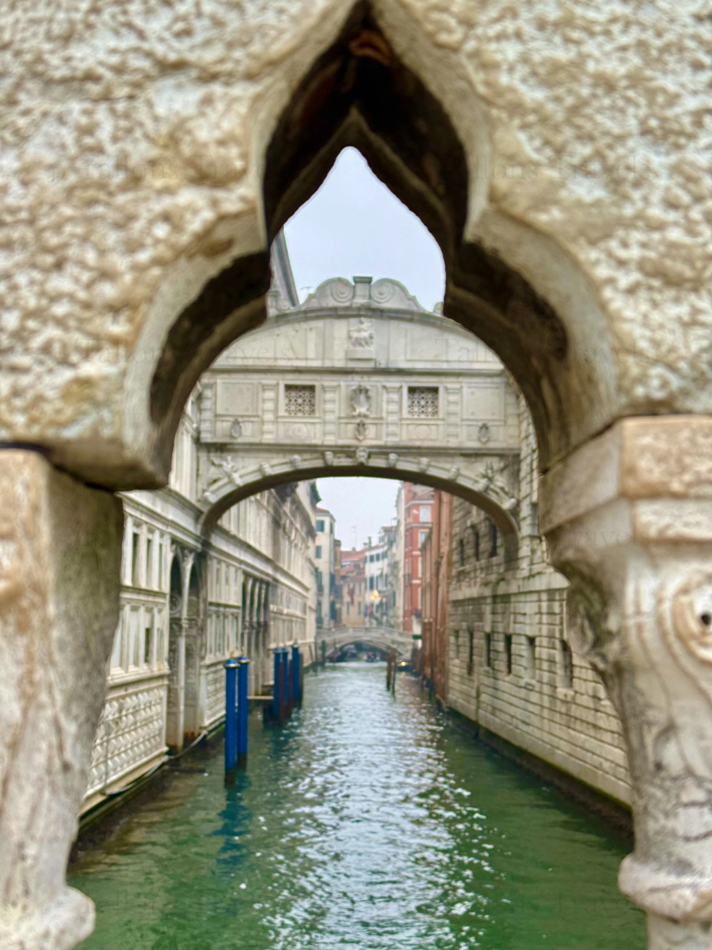 eZy Watermark_04-03-2026_06-26-39-4040PM.jpg