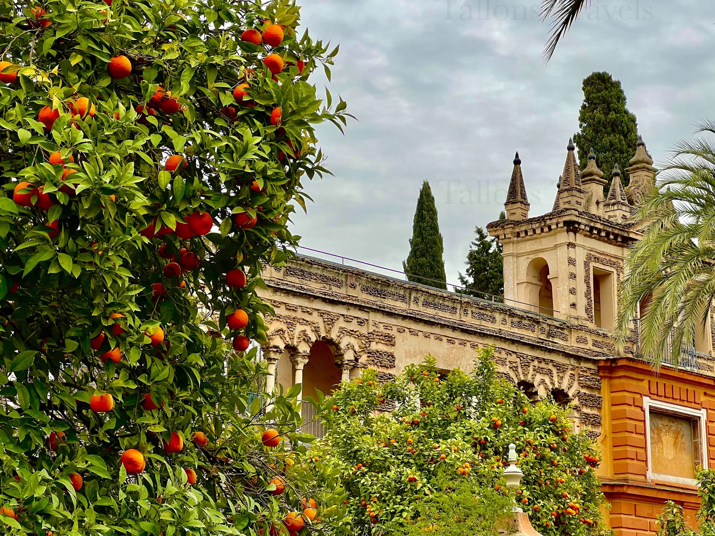 eZy Watermark_27-01-2026_09-22-08-5170PM.jpg