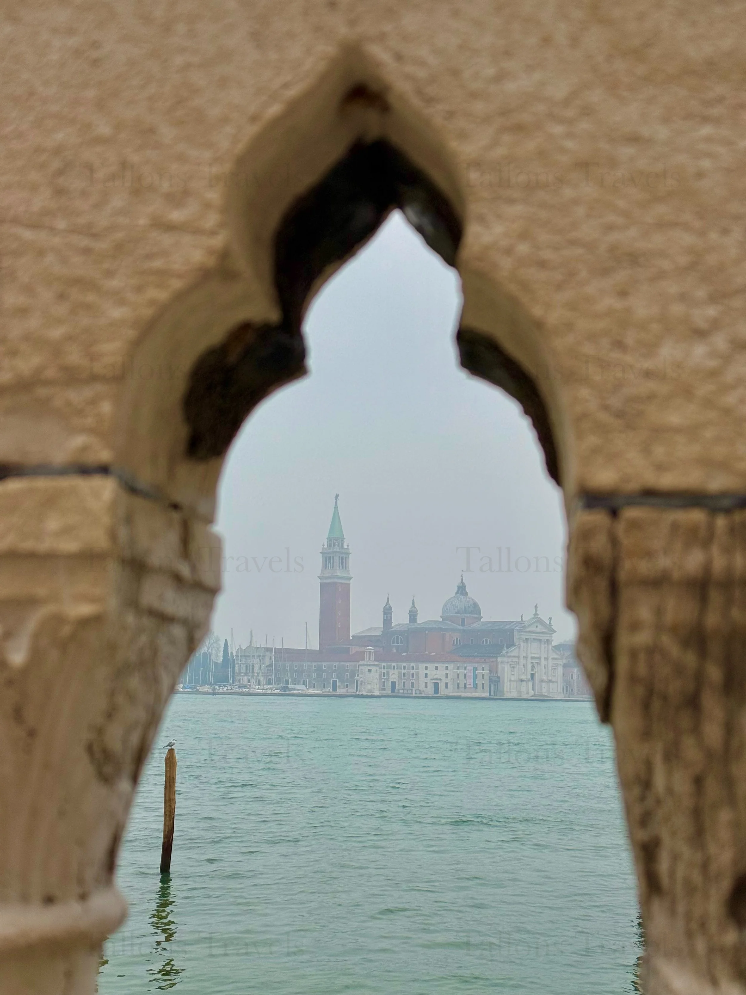 eZy Watermark_04-03-2026_06-26-40-0000PM.jpg