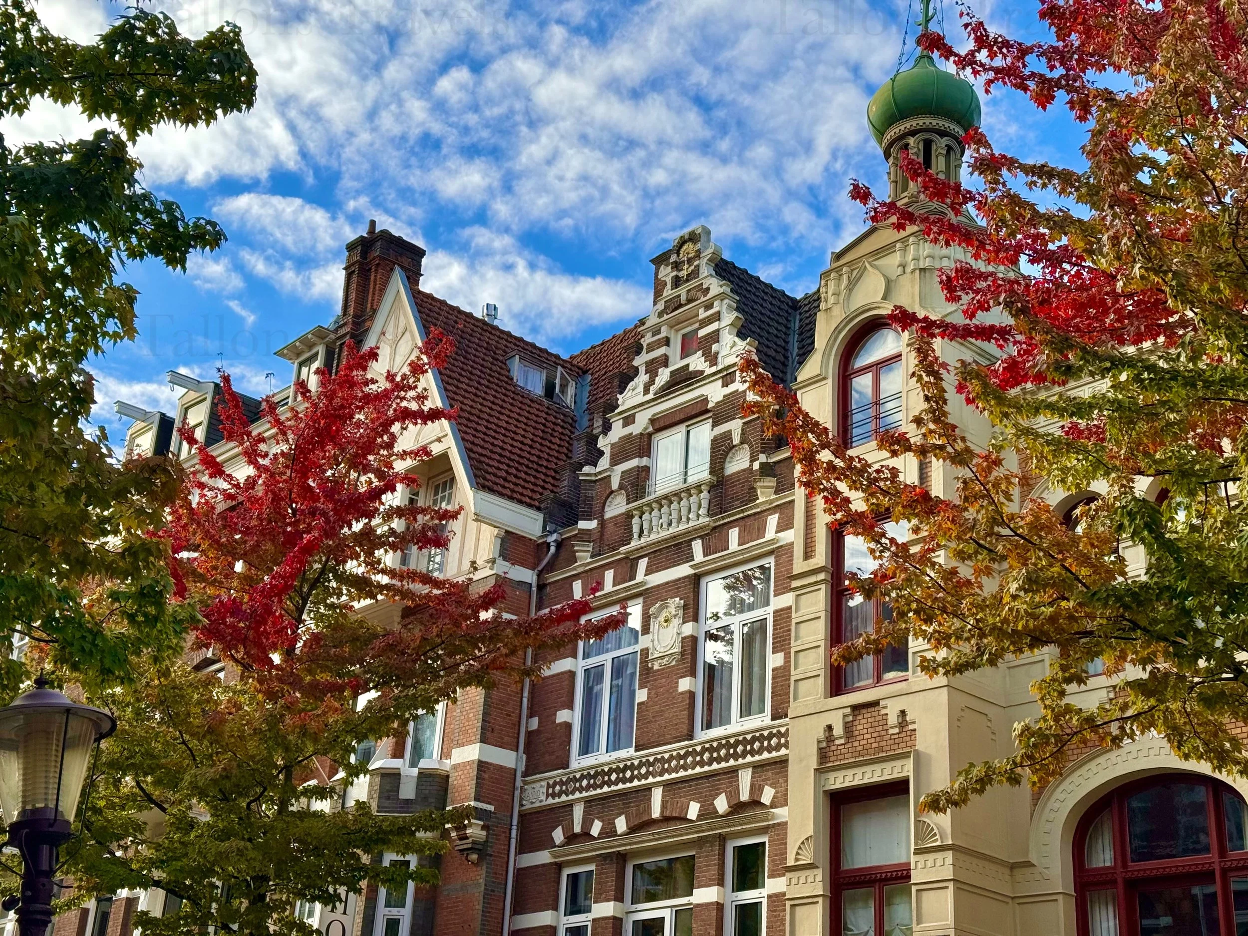 eZy Watermark_23-01-2026_11-37-08-0560AM.jpg