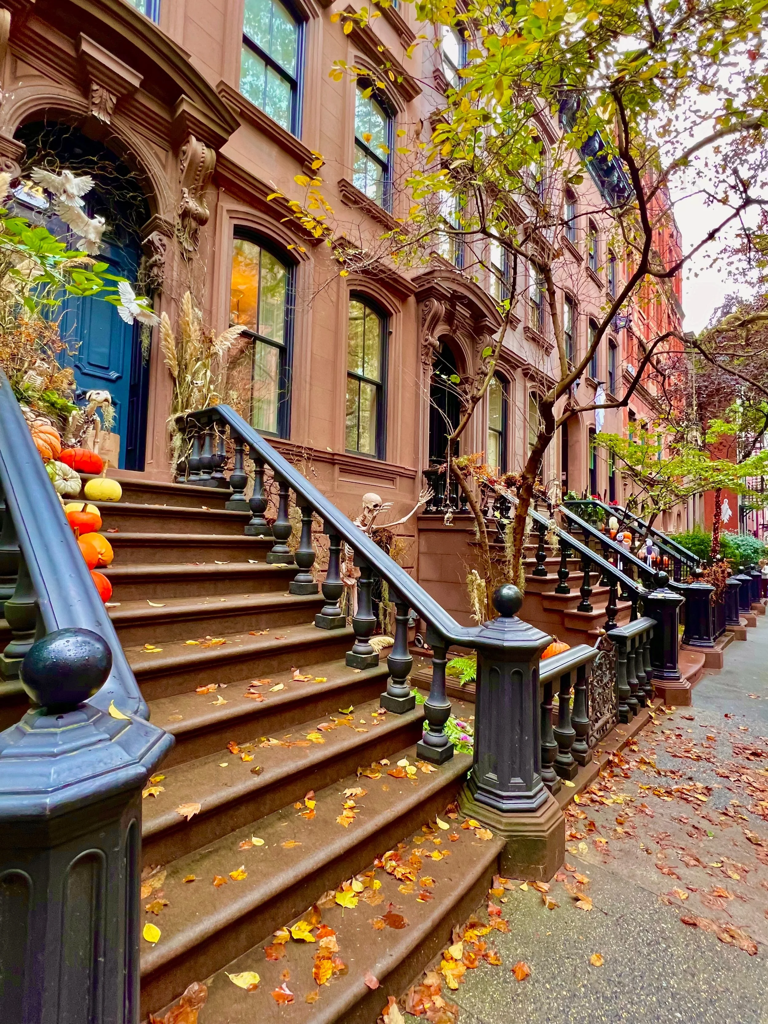 eZy Watermark_23-01-2026_11-19-39-2830PM.jpg