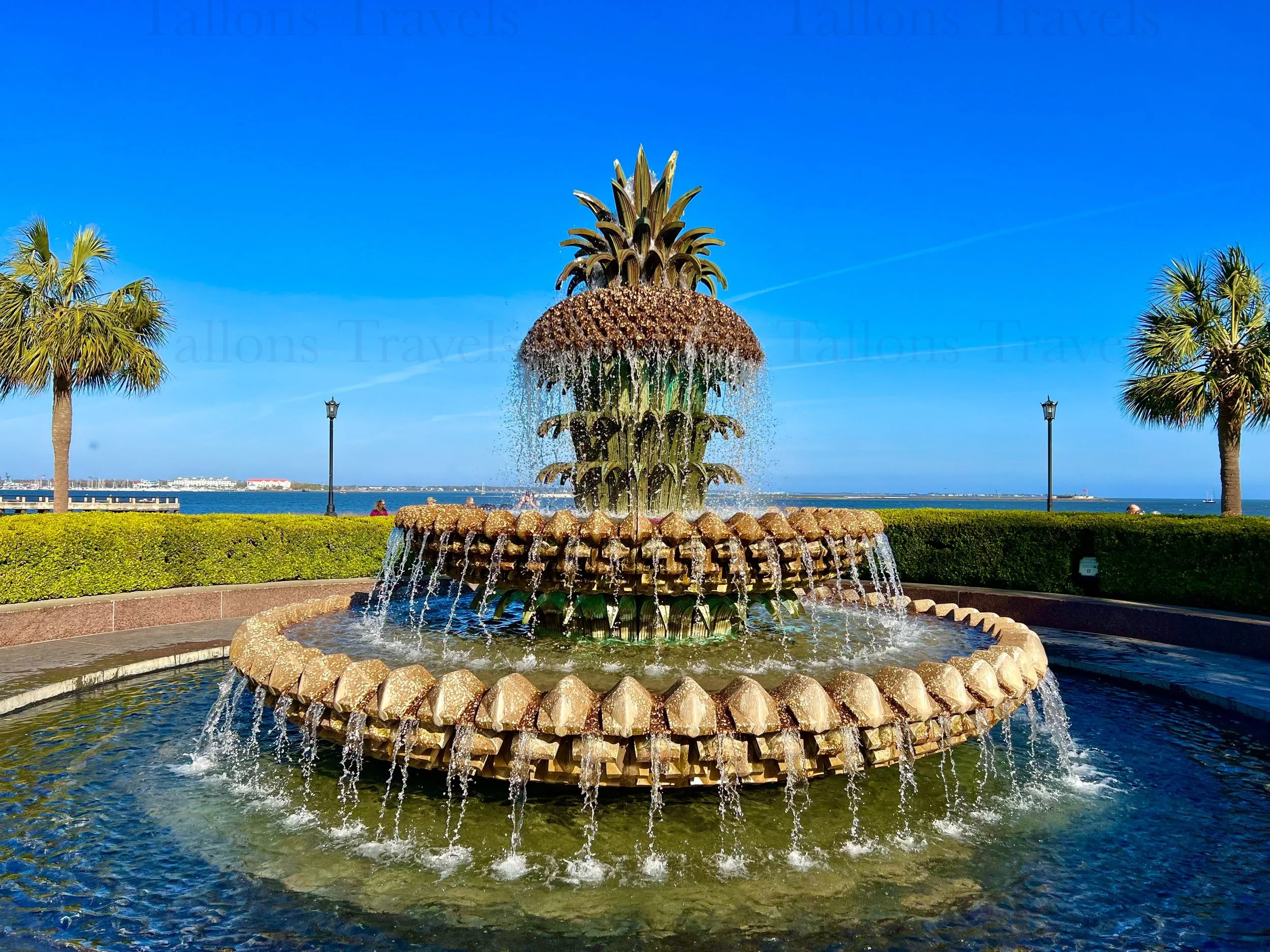 eZy Watermark_25-01-2026_08-24-31-9940PM.jpg