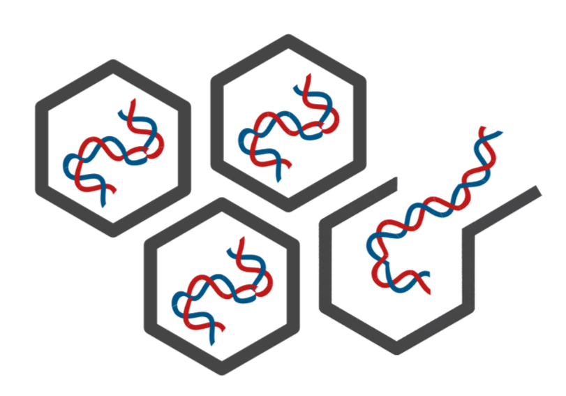 A digital illustration of AAV packaging.