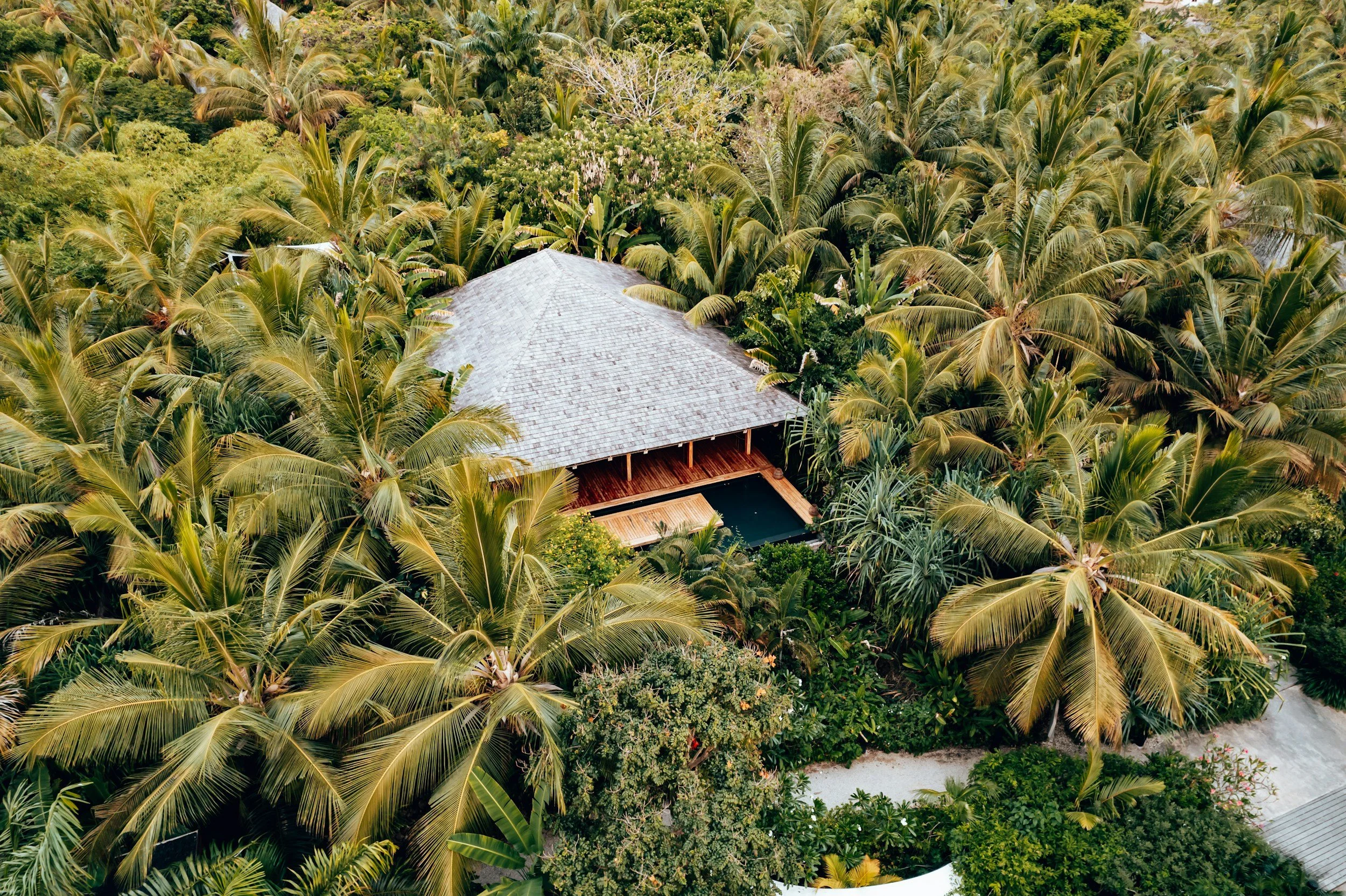 Best Hotels in Zanzibar: Naru’s Curated Stay Guide