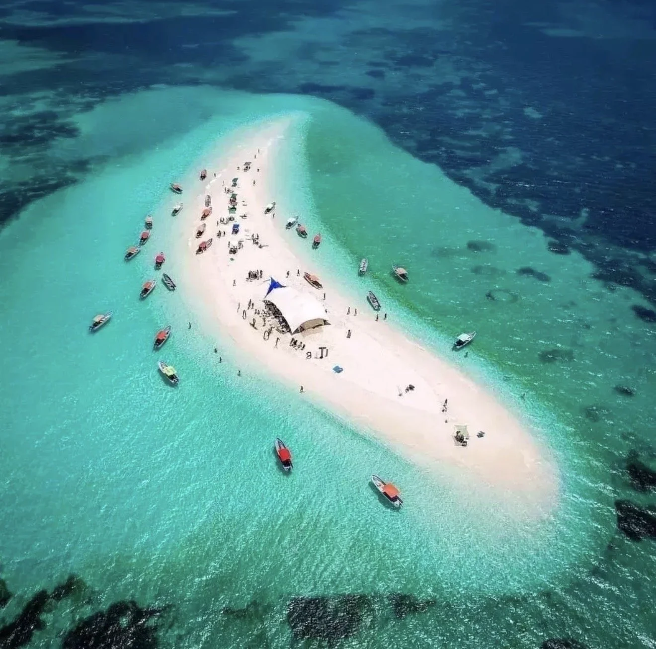 🏝️ Prison Island & Nakupenda Sandbank Tour