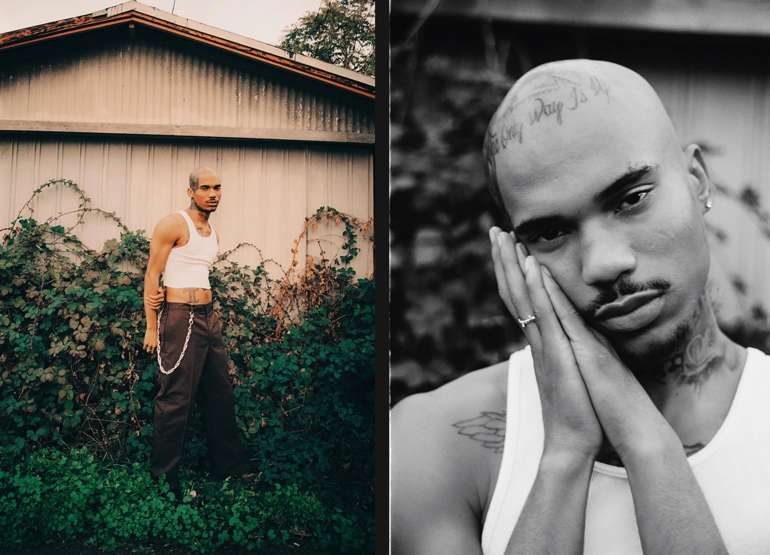 0CB5217C-1196-436F-A7B4-DDE1241D4749 copy1 copy 2.jpg