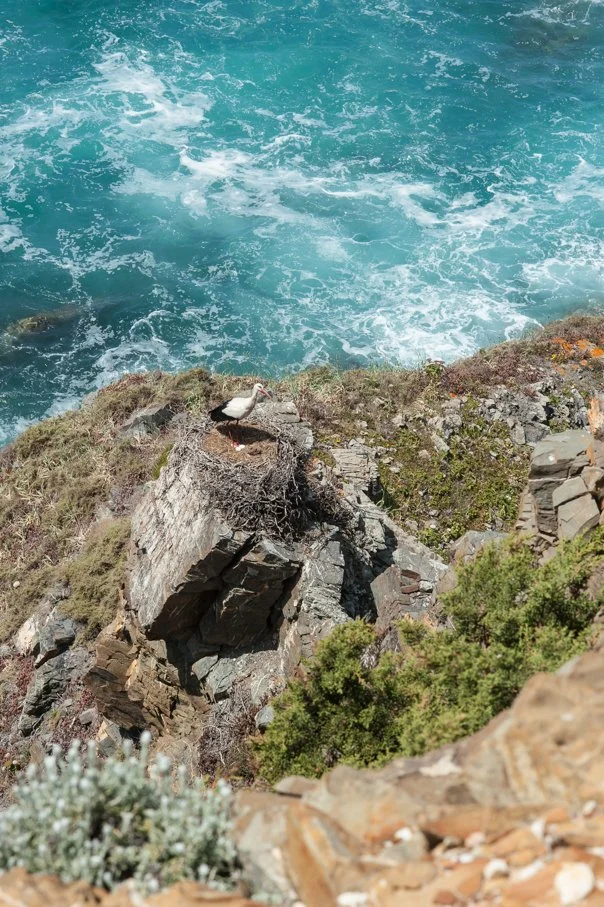 CABO SARDÃO DSC_7020.jpg