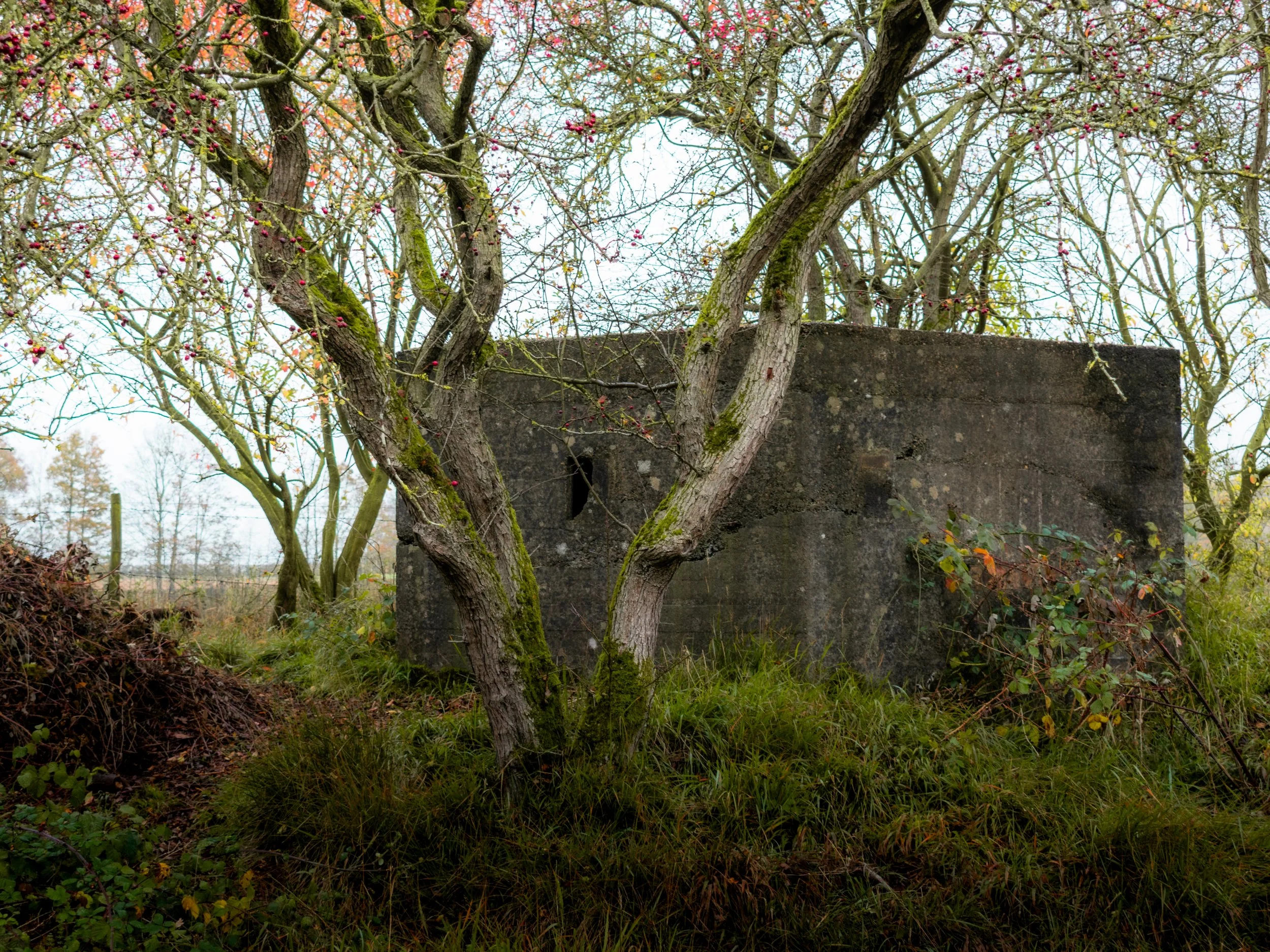 THE BUNKER 1.jpg