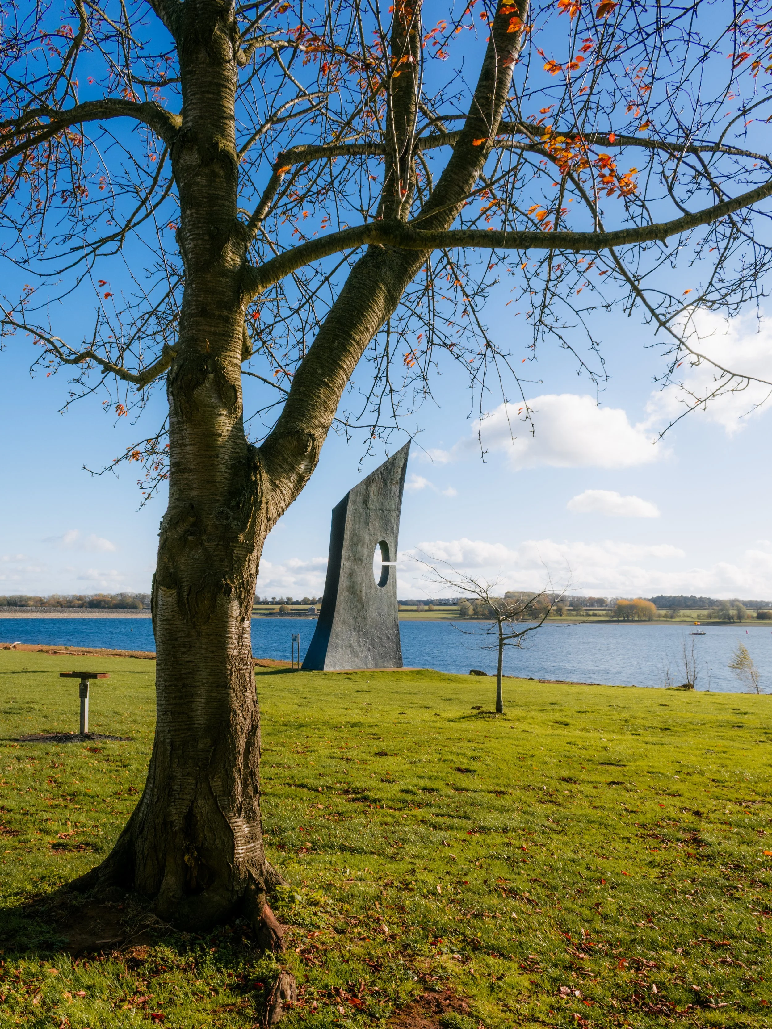 ANYTHING YOU CAN DO.jpg