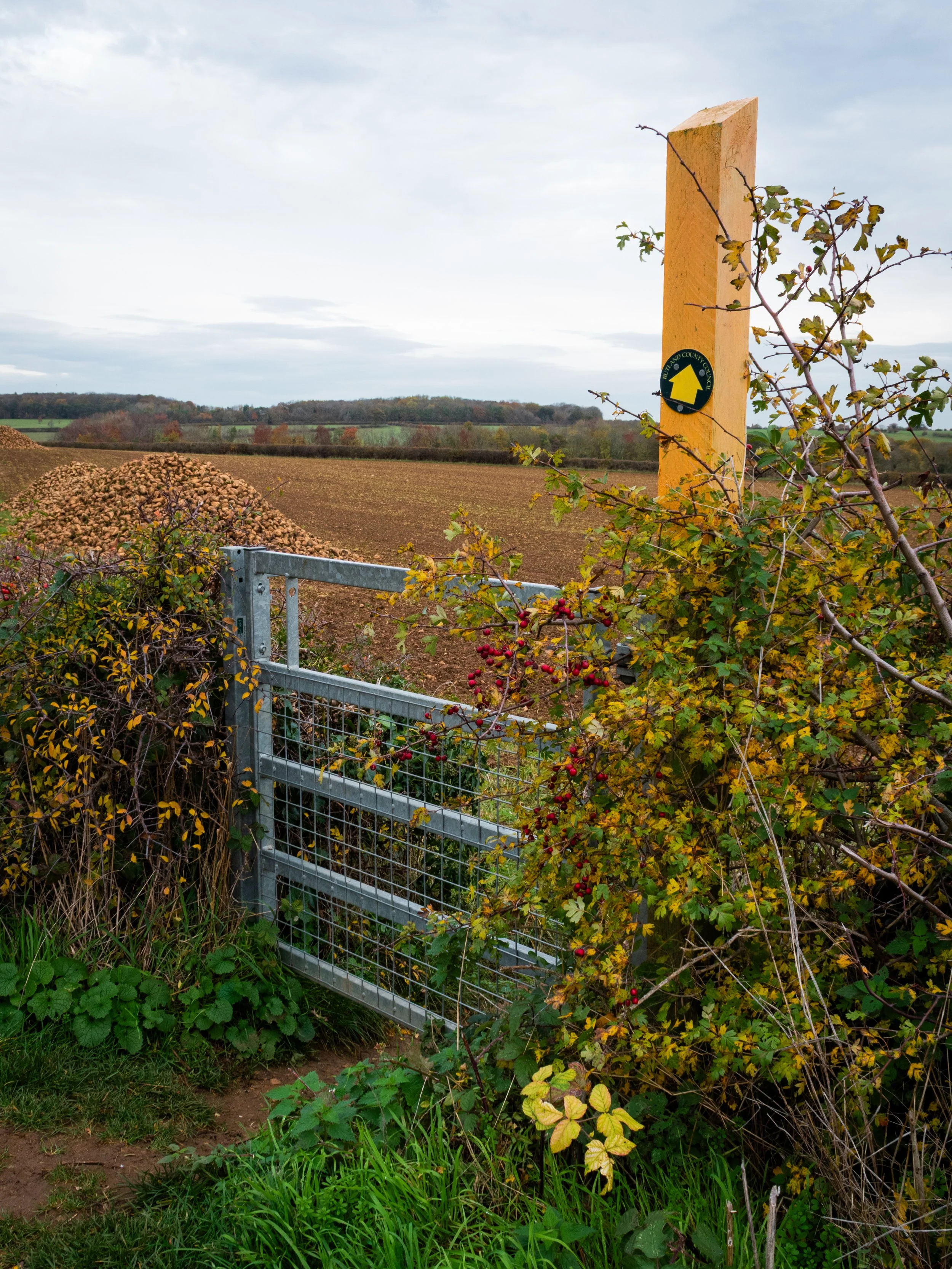 NEEP TO THE PATH.jpg