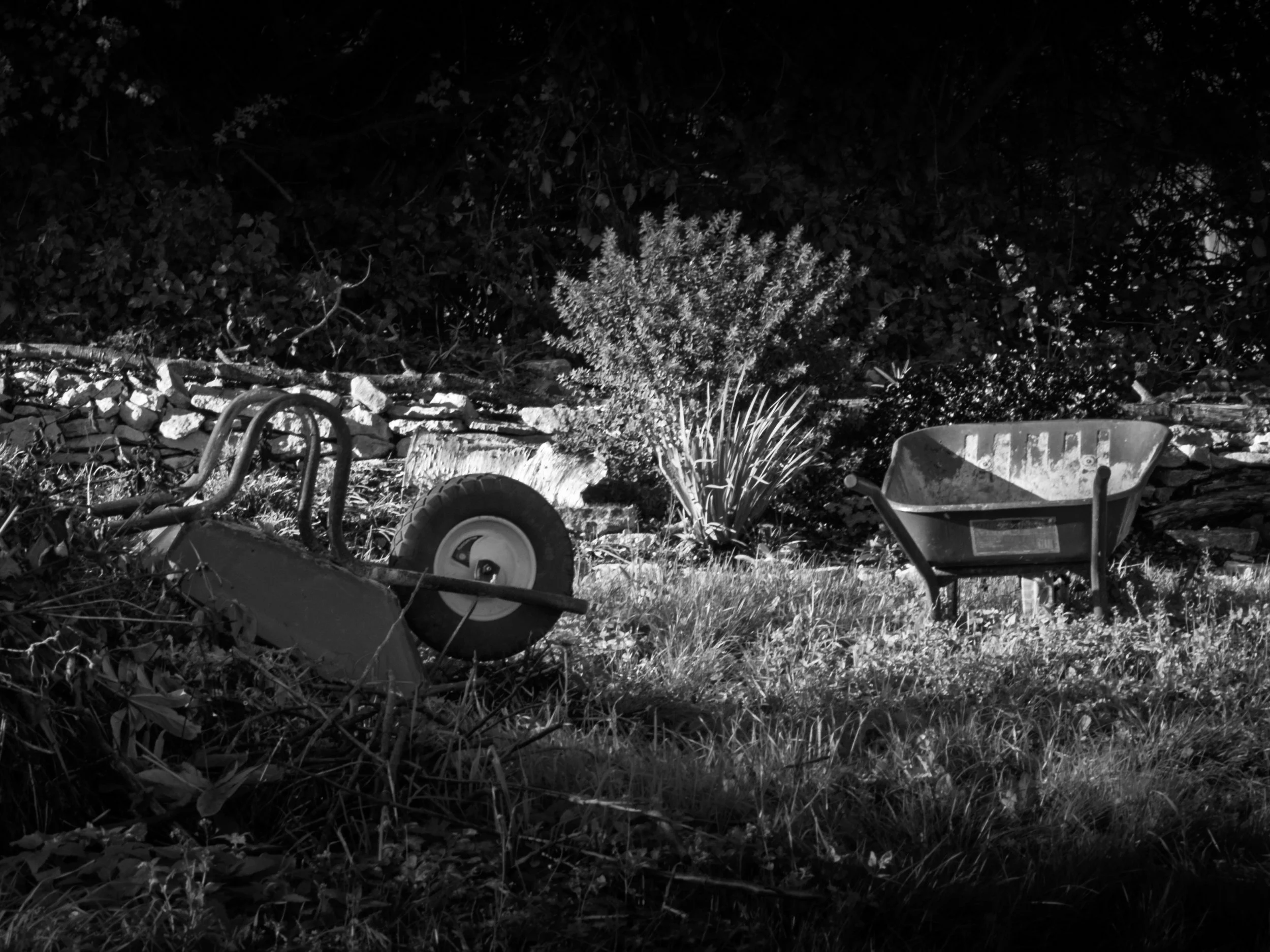 DONE FOR THE DAY.jpg