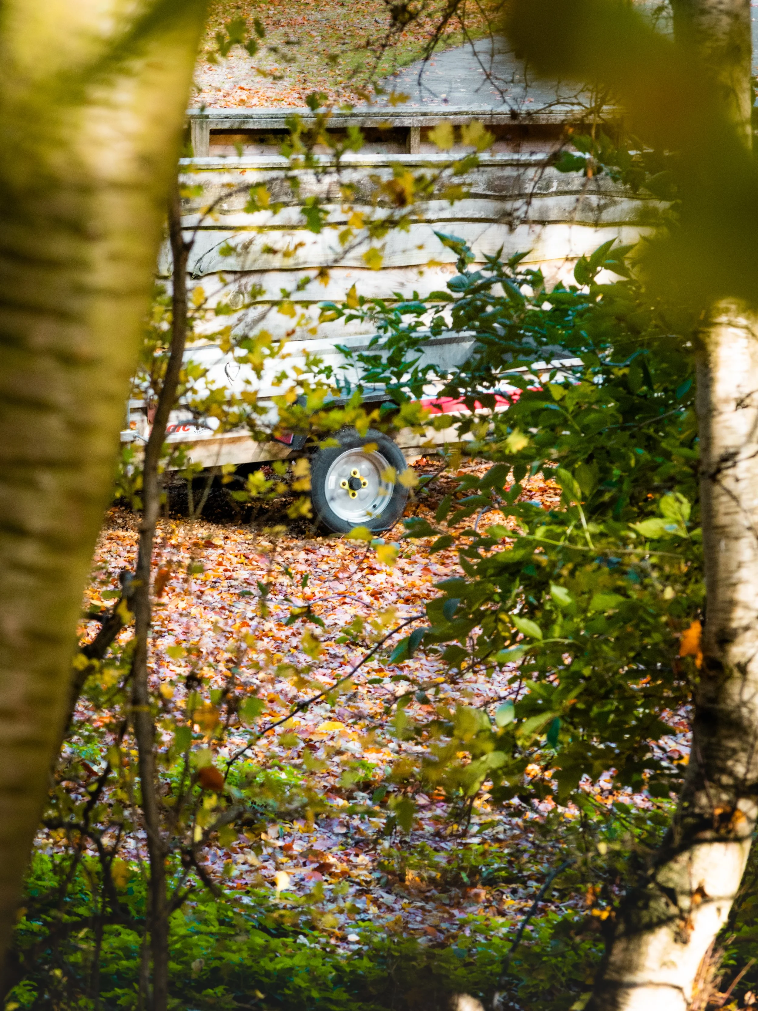 WOODLAND TRAIL...ER.jpg